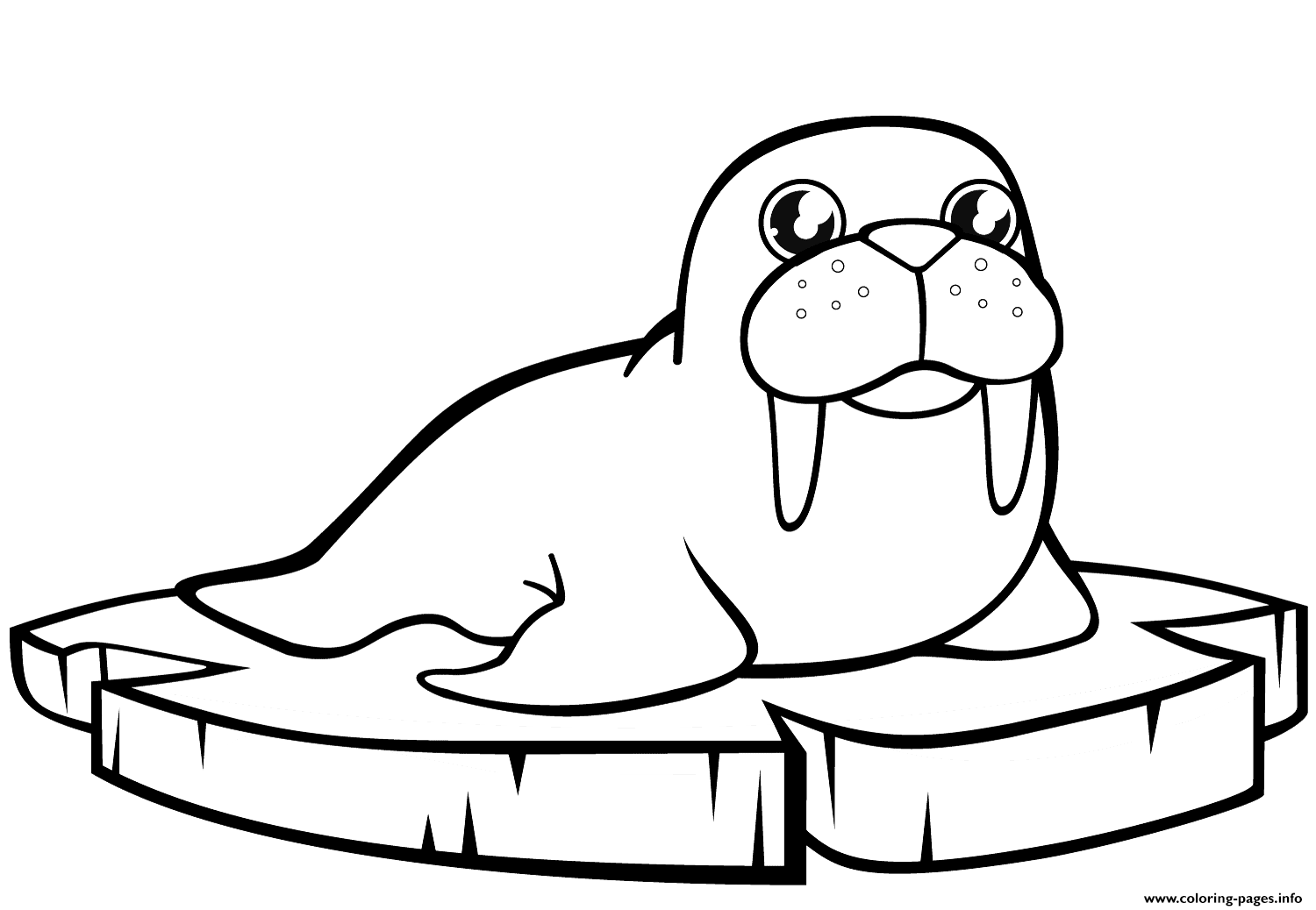 Cartoon Walrus On The Ice Floe coloring