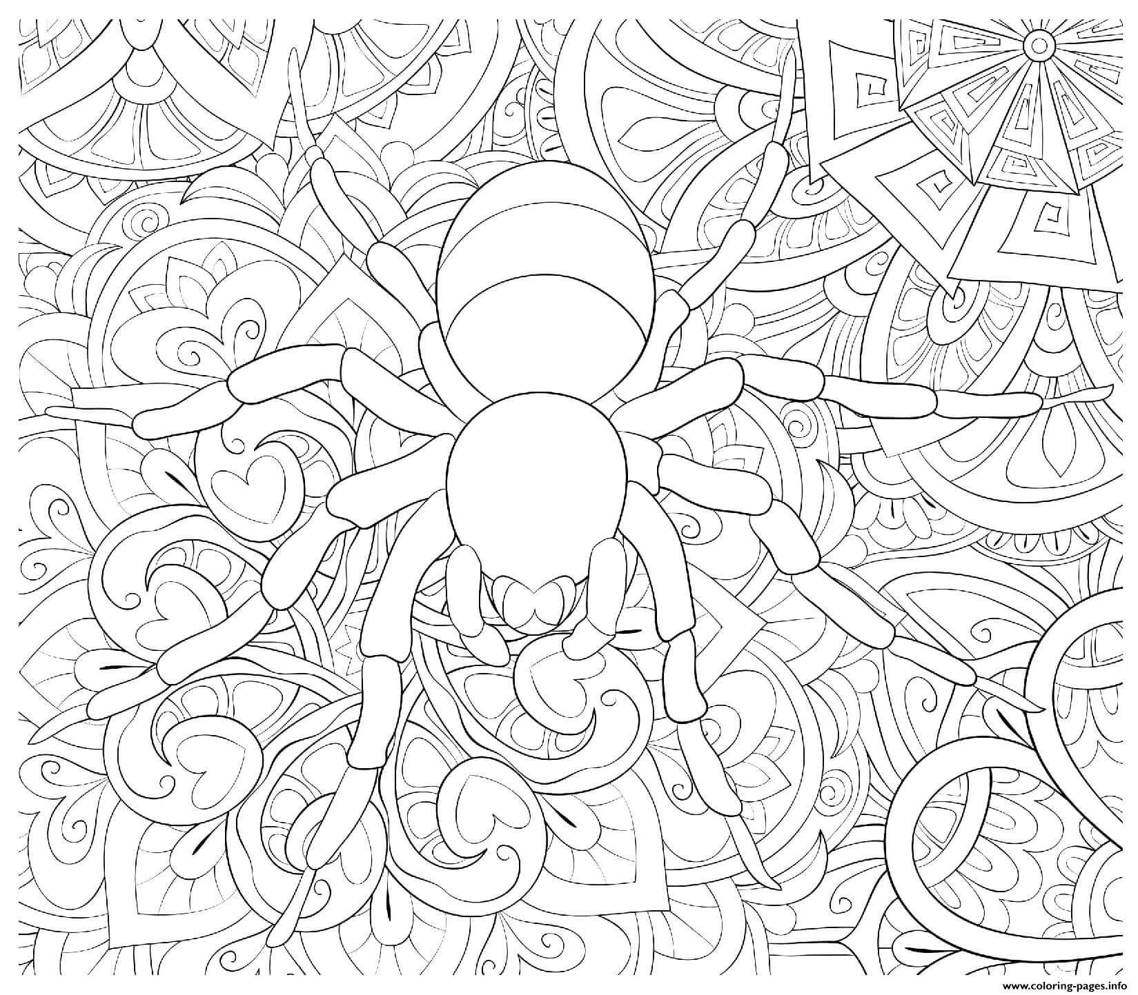 Halloween Spider Intricate Pattern coloring