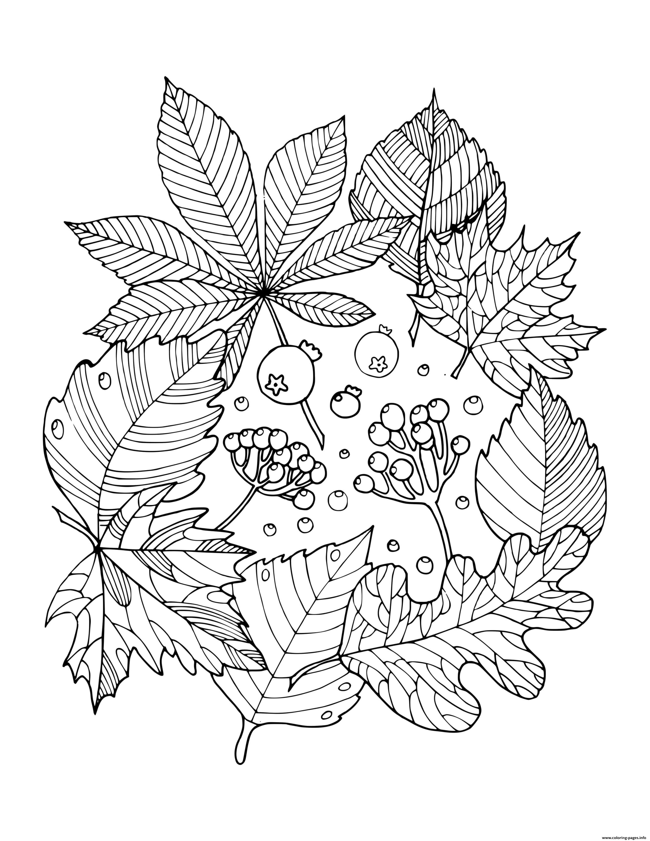 Autumn Tree Coloring Page Coloriage Automne Page De Coloriage Coloriage ...