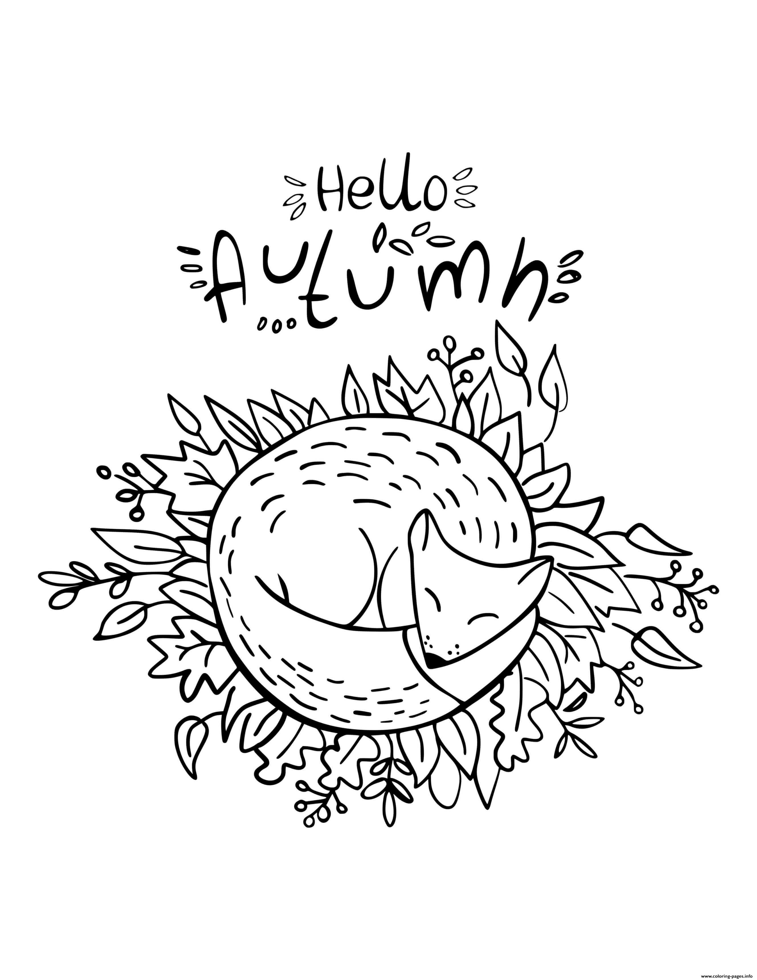 Fall Hello Autumn Fox Sleeping In Leaves Coloring Pages Printable