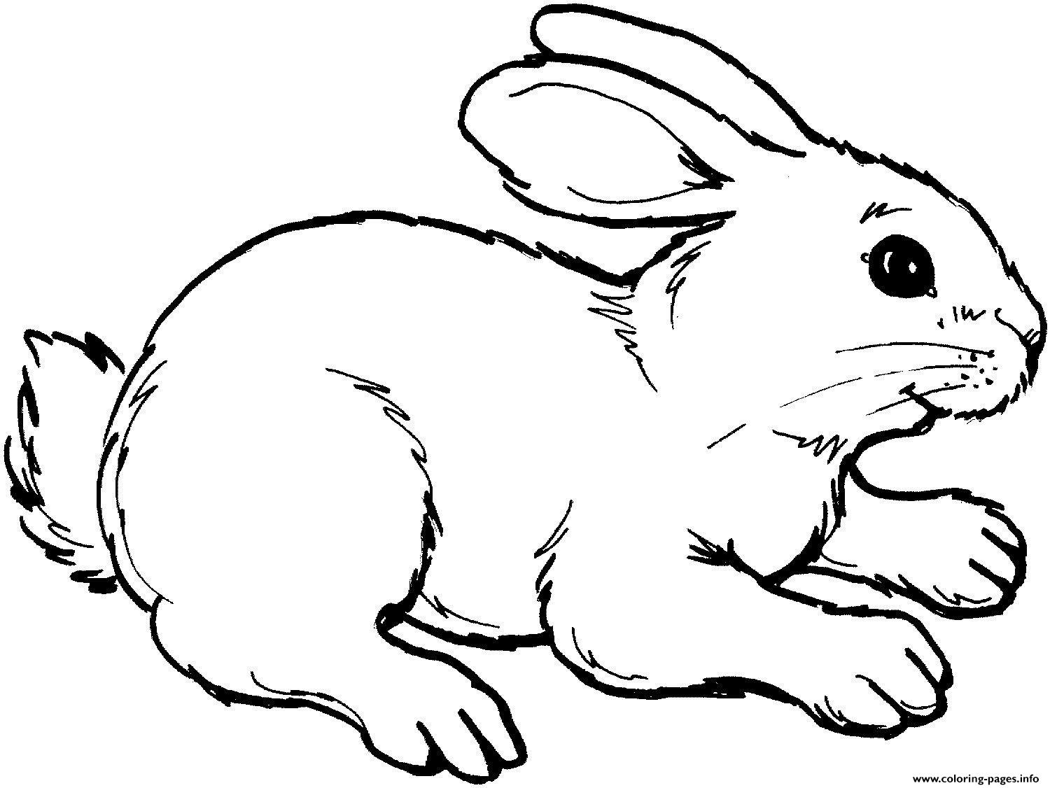 Cute Rabbit coloring pages