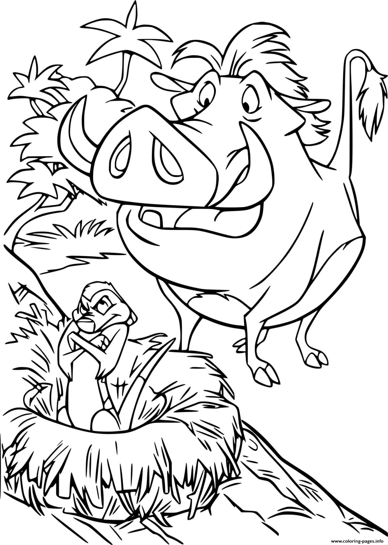 Timon Is Angry With Pumbaa coloring