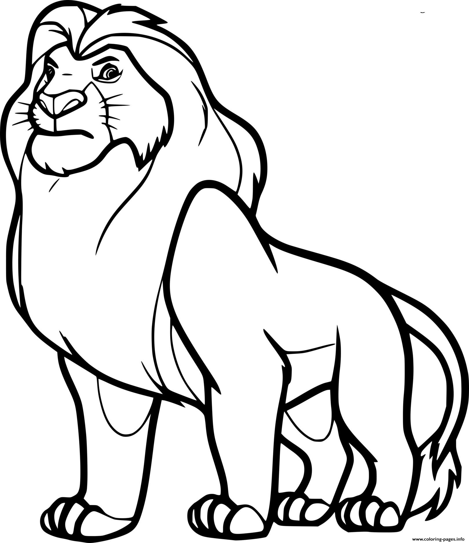 Jovian Simba Lion coloring