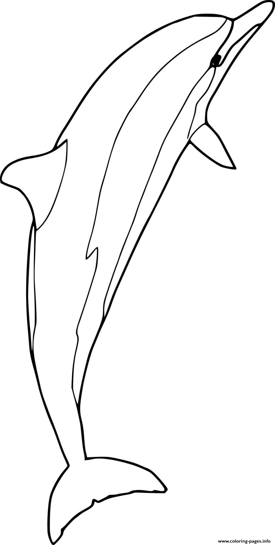 Spinner Dolphin Coloring page Printable