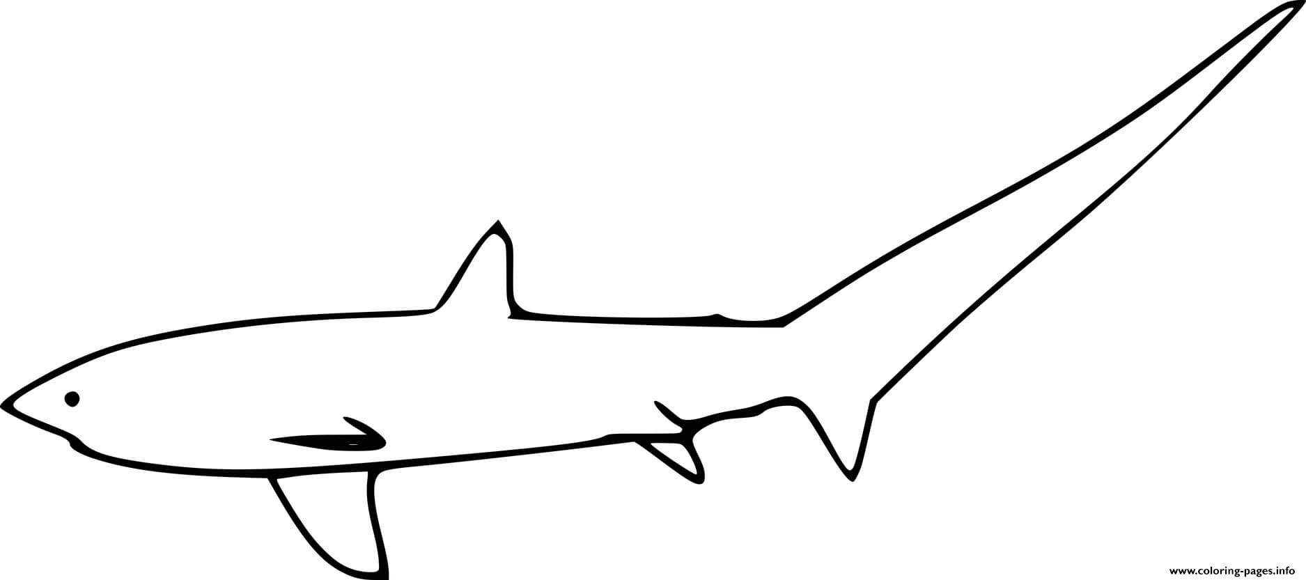 Simple Thresher Shark Coloring page Printable