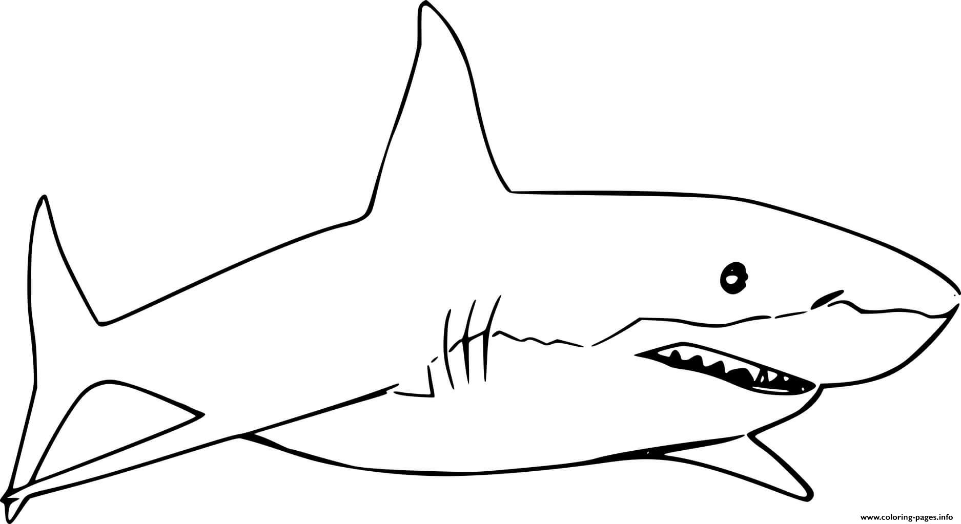 Shark Coloring Pages Simple