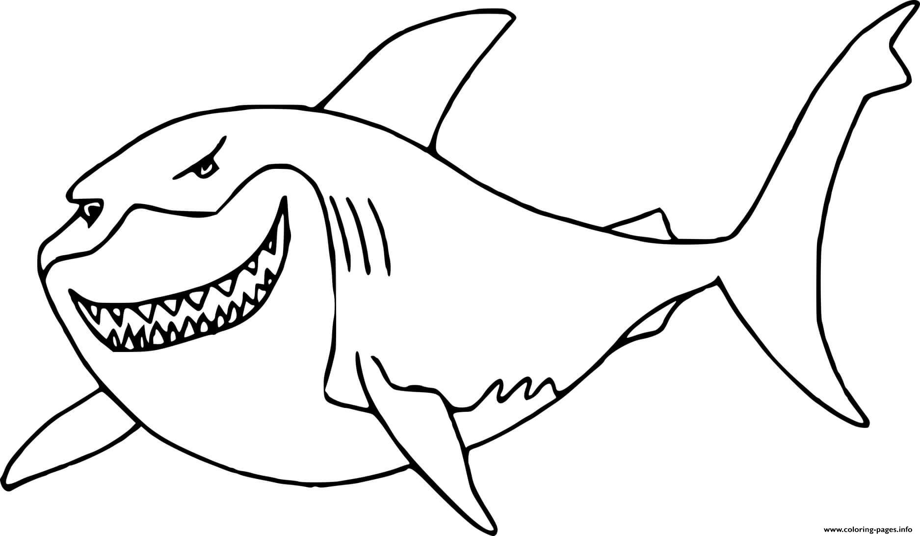 Раскраска большеротая акула