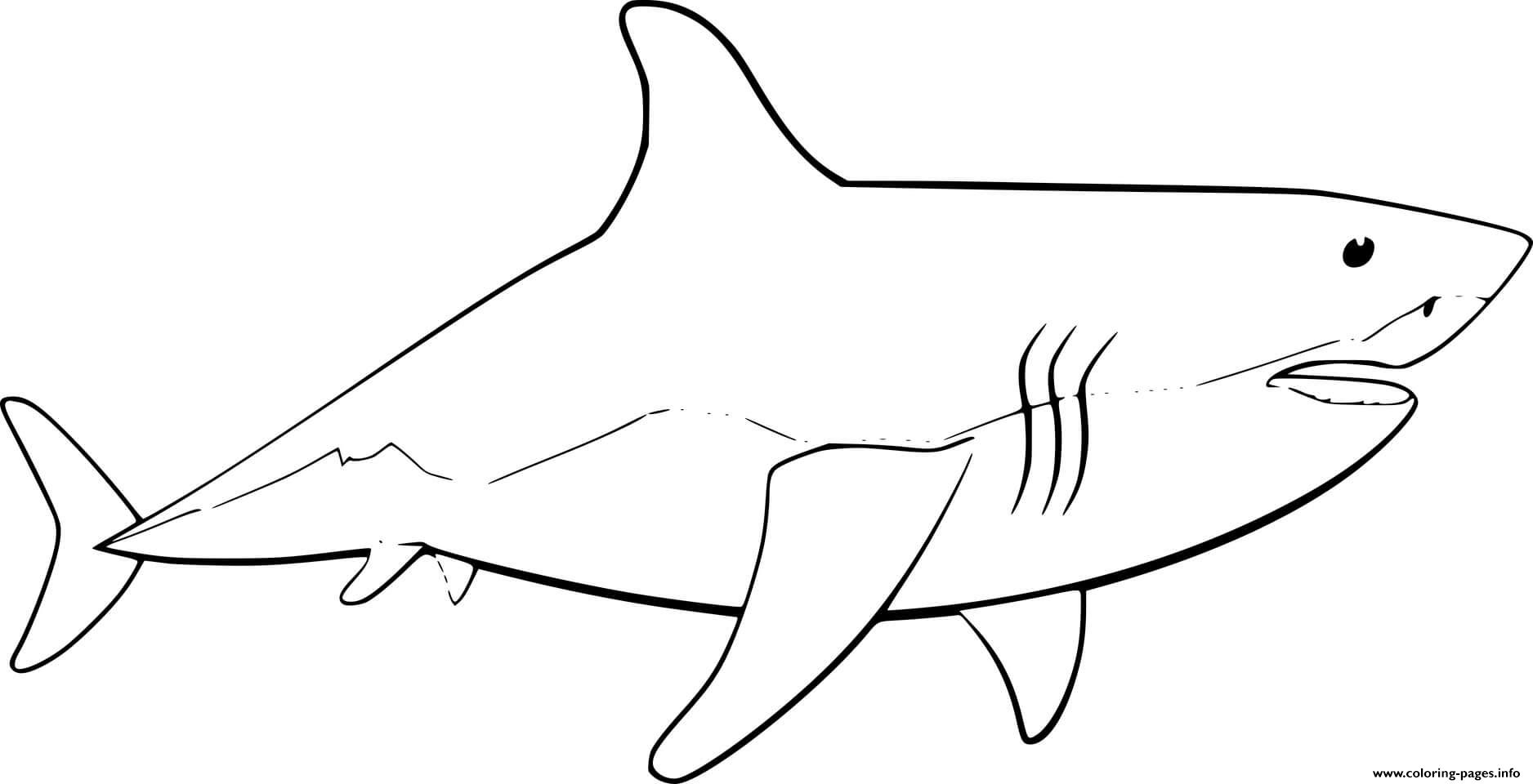 Simple Great White Shark Coloring page Printable