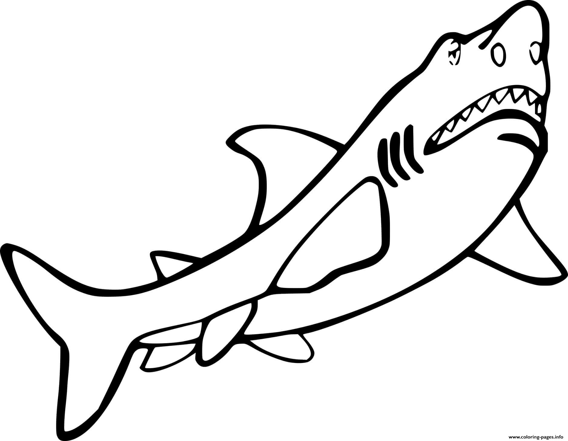real great white shark coloring page