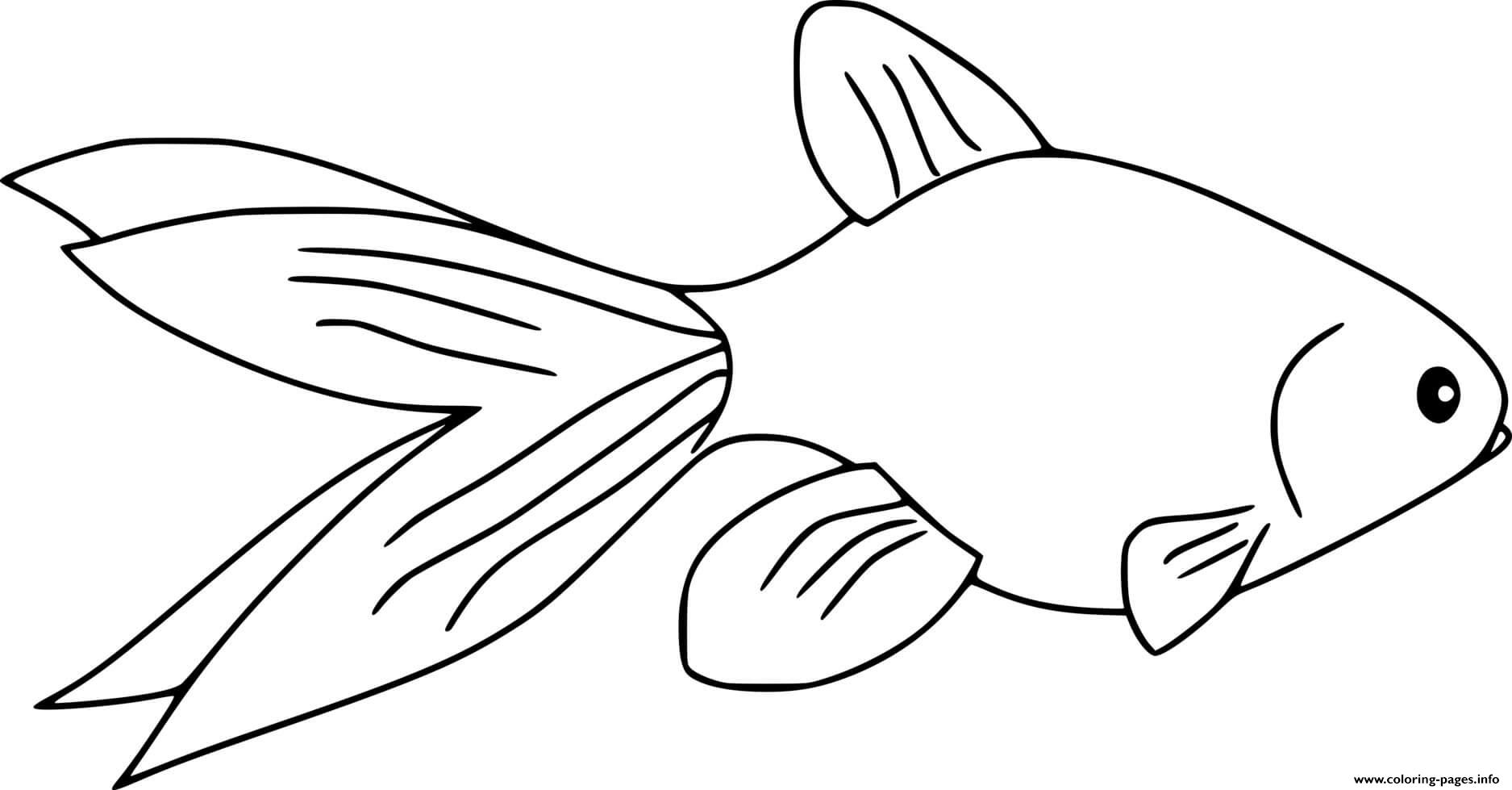Common Goldfish coloring pages