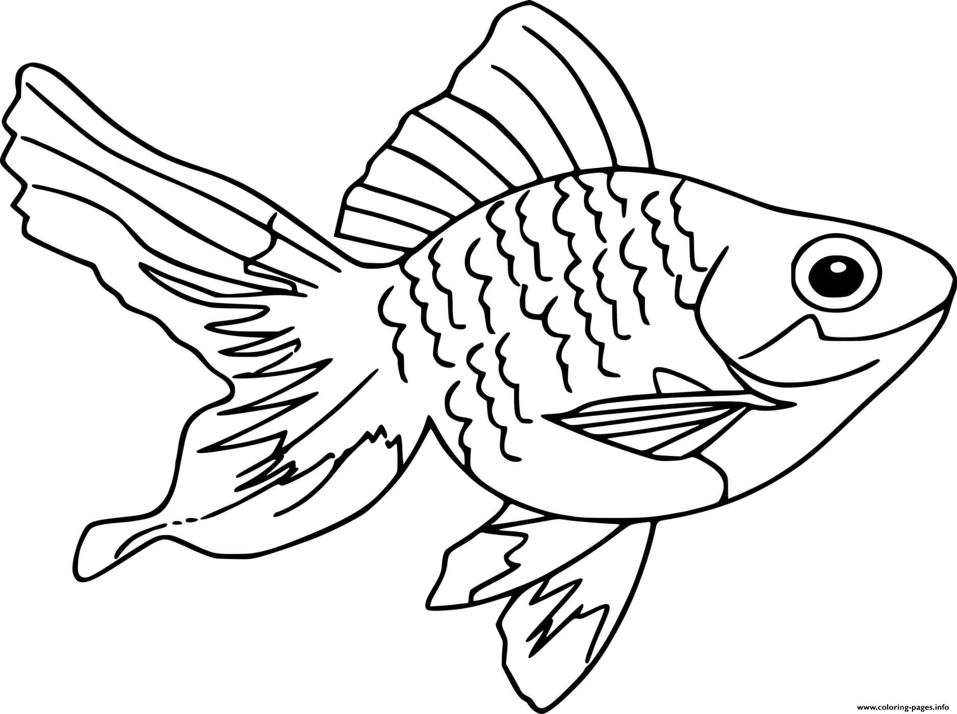 Fantail Goldfish coloring