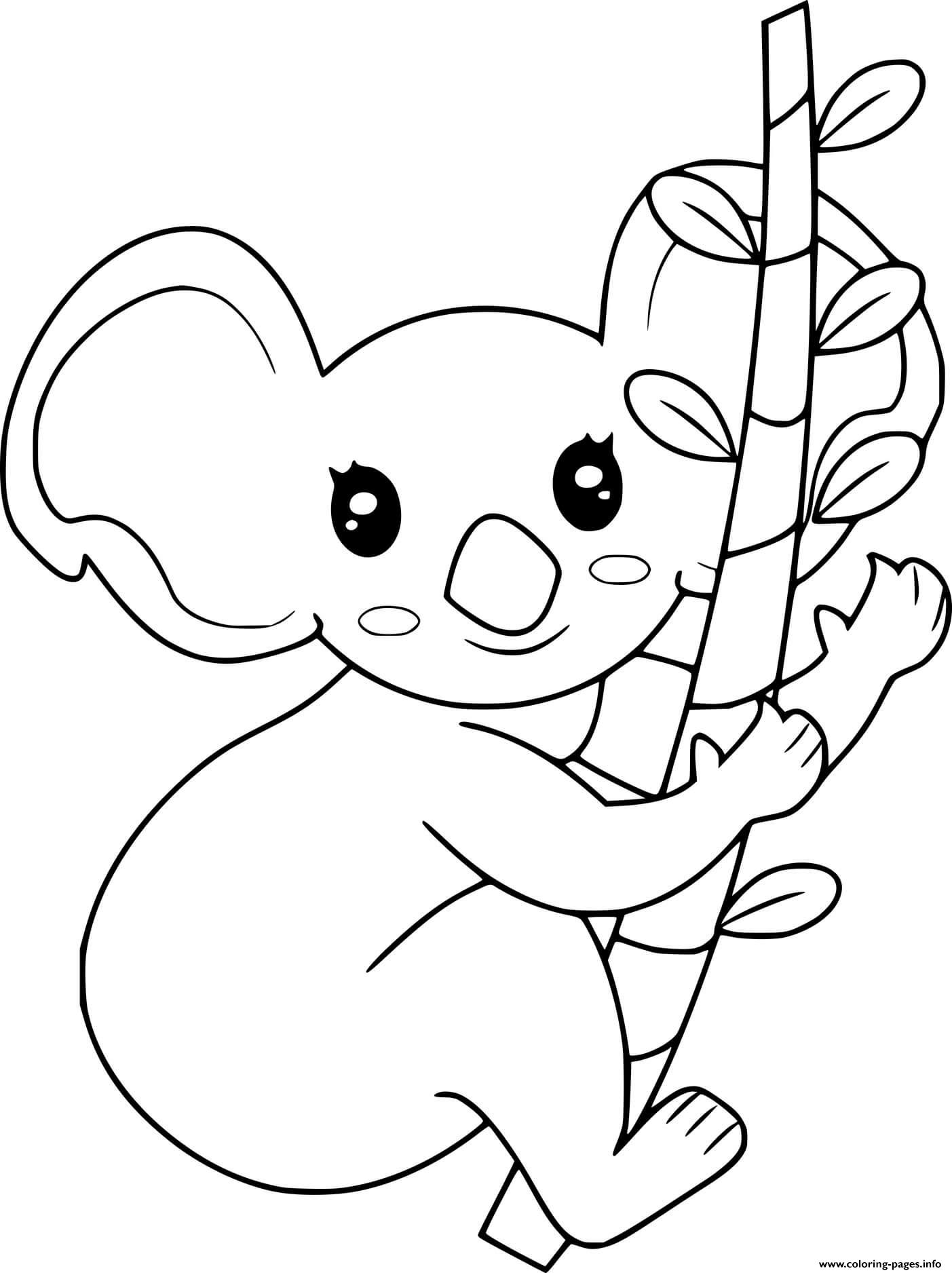 Koala Holds The Branch coloring