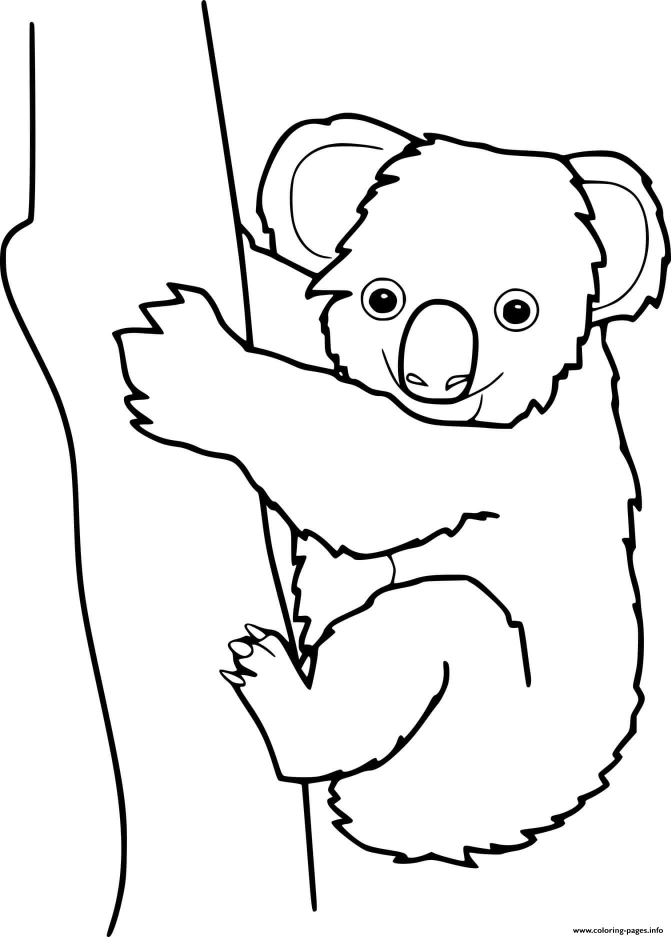 Easy Koala Climbing The Tree coloring
