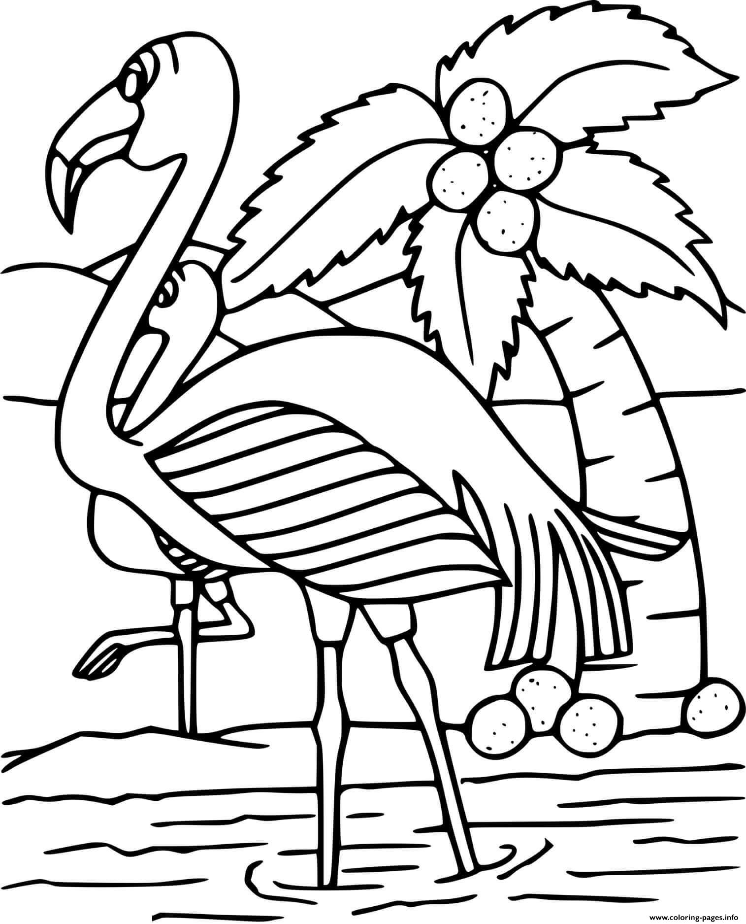 Flamingos And Coconut Tree coloring