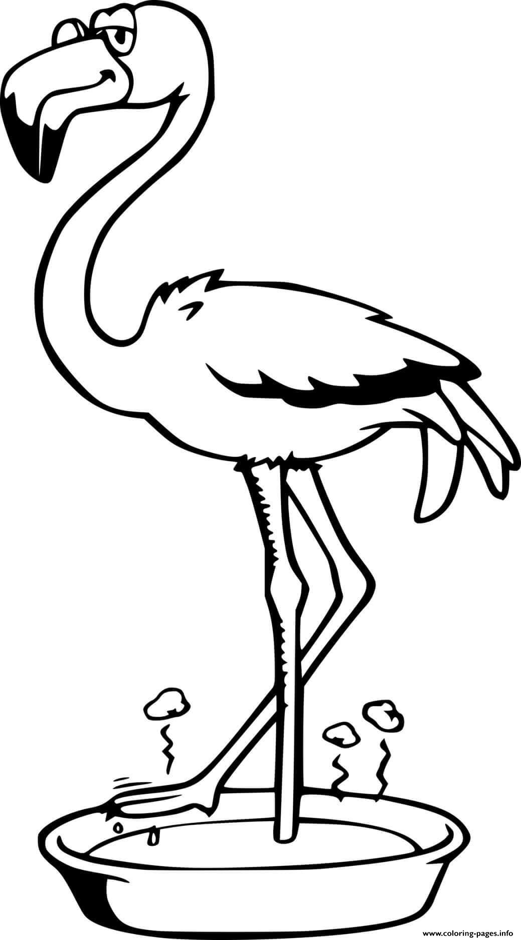 Flamingo Standing In The Basin coloring