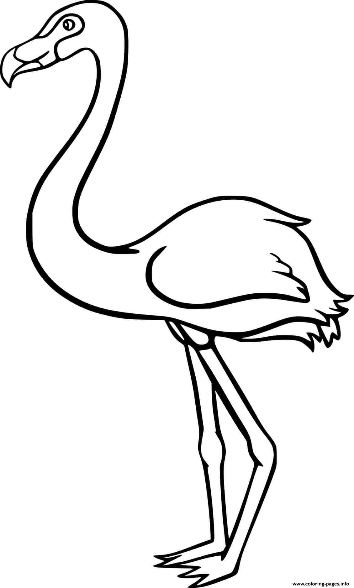 Easy Simple Flamingo coloring
