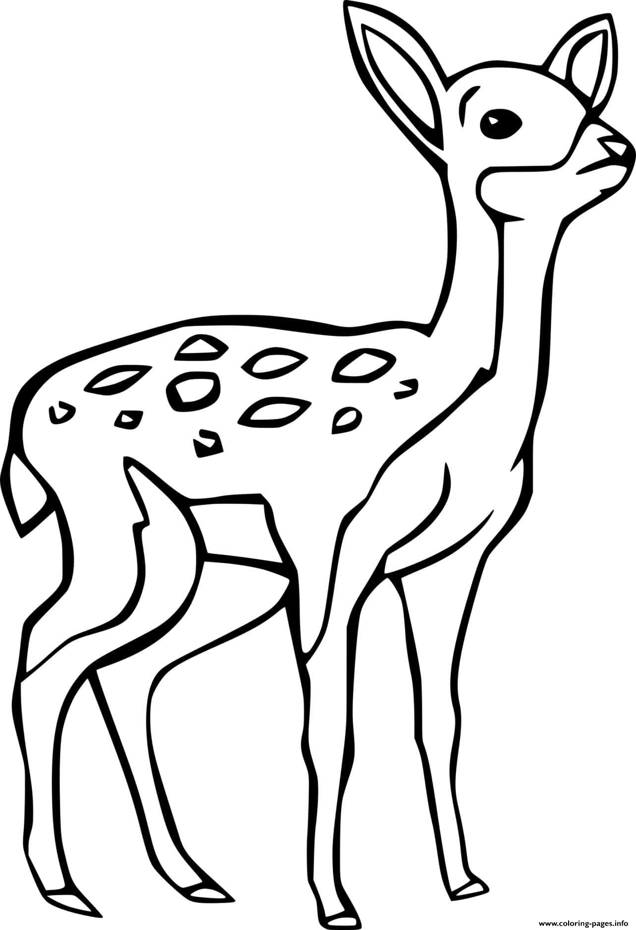 Baby Sika Deer Coloring page Printable