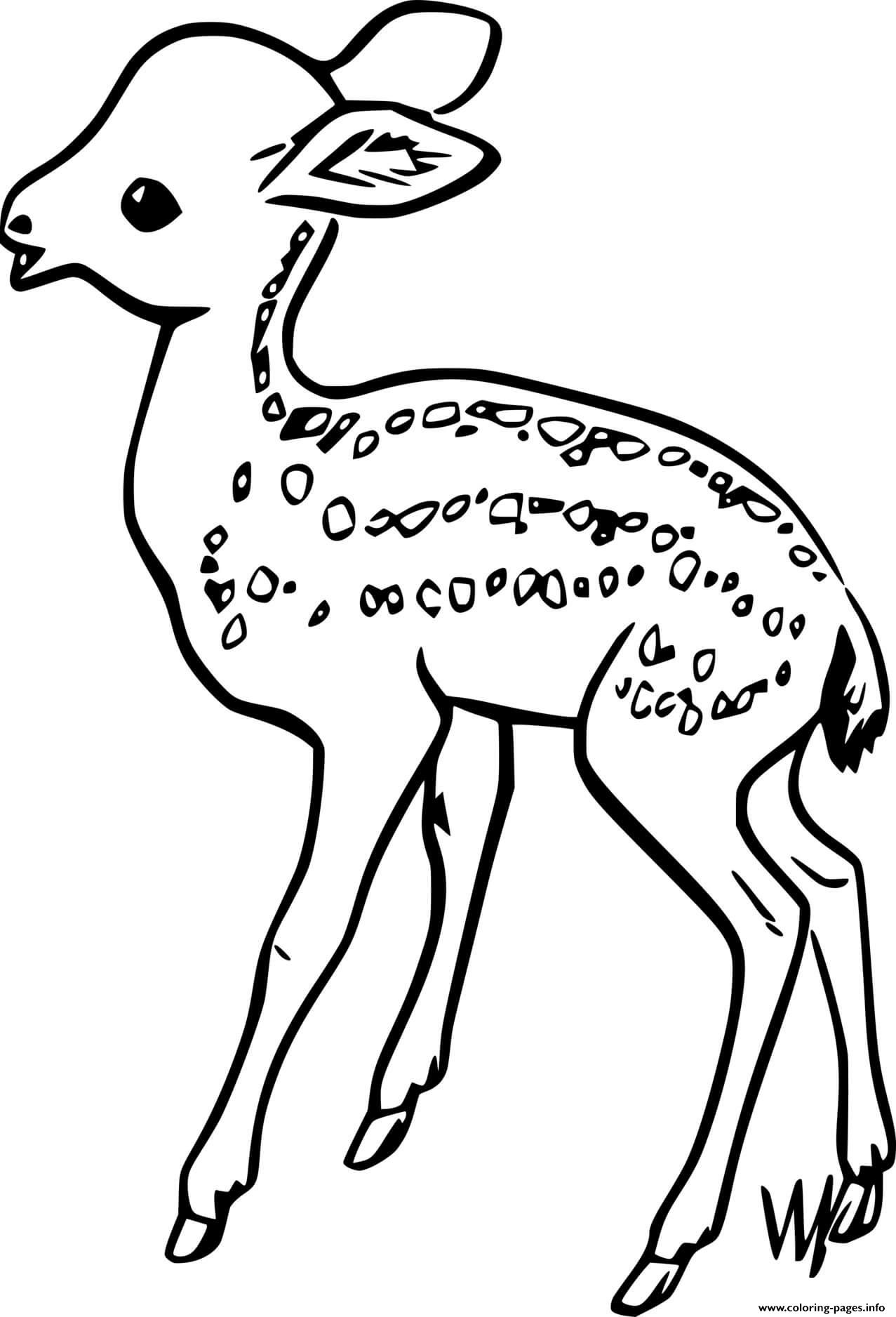 Baby Deer Walking coloring pages