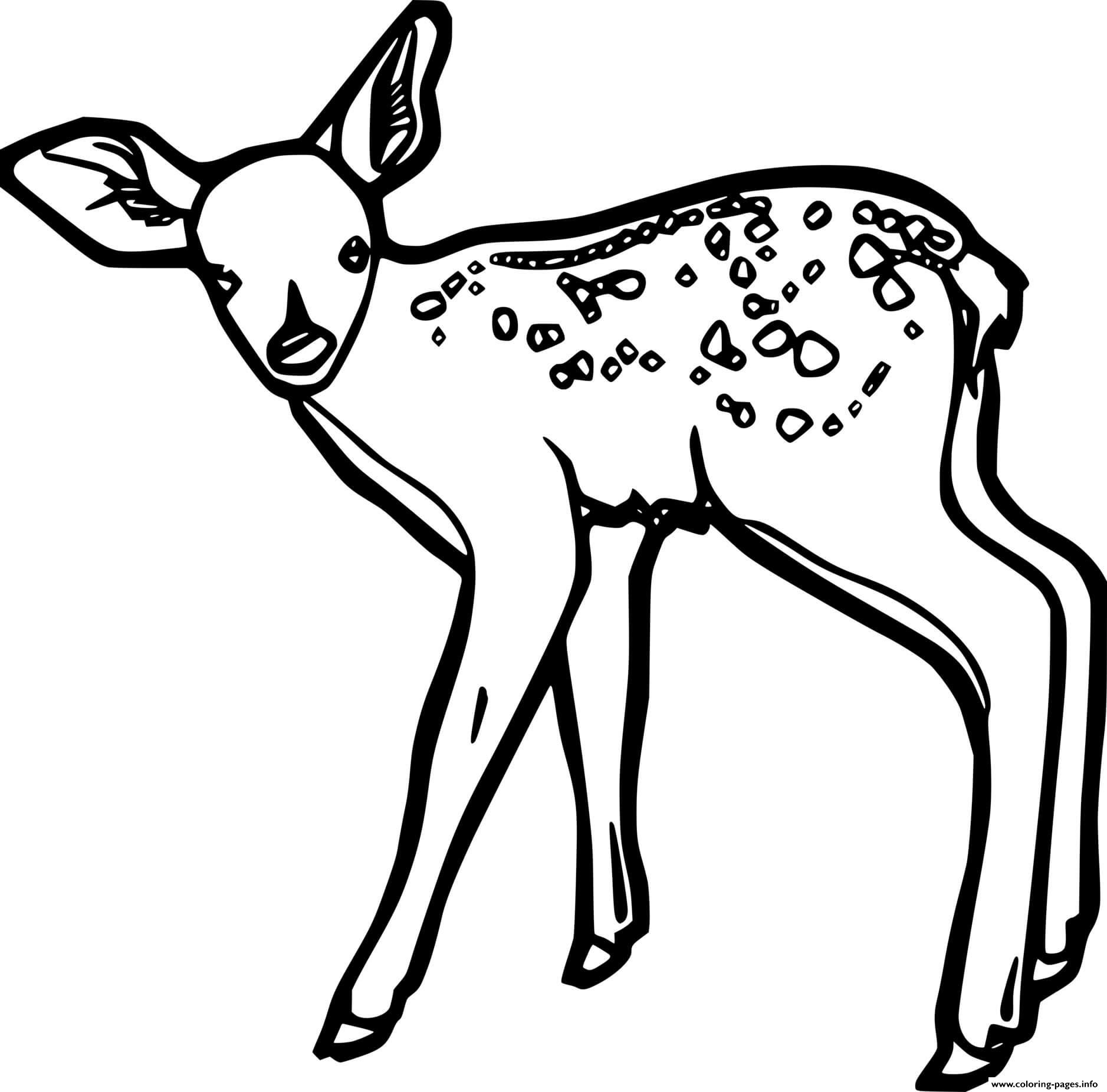 Simple Little Spotted Deer Coloring page Printable