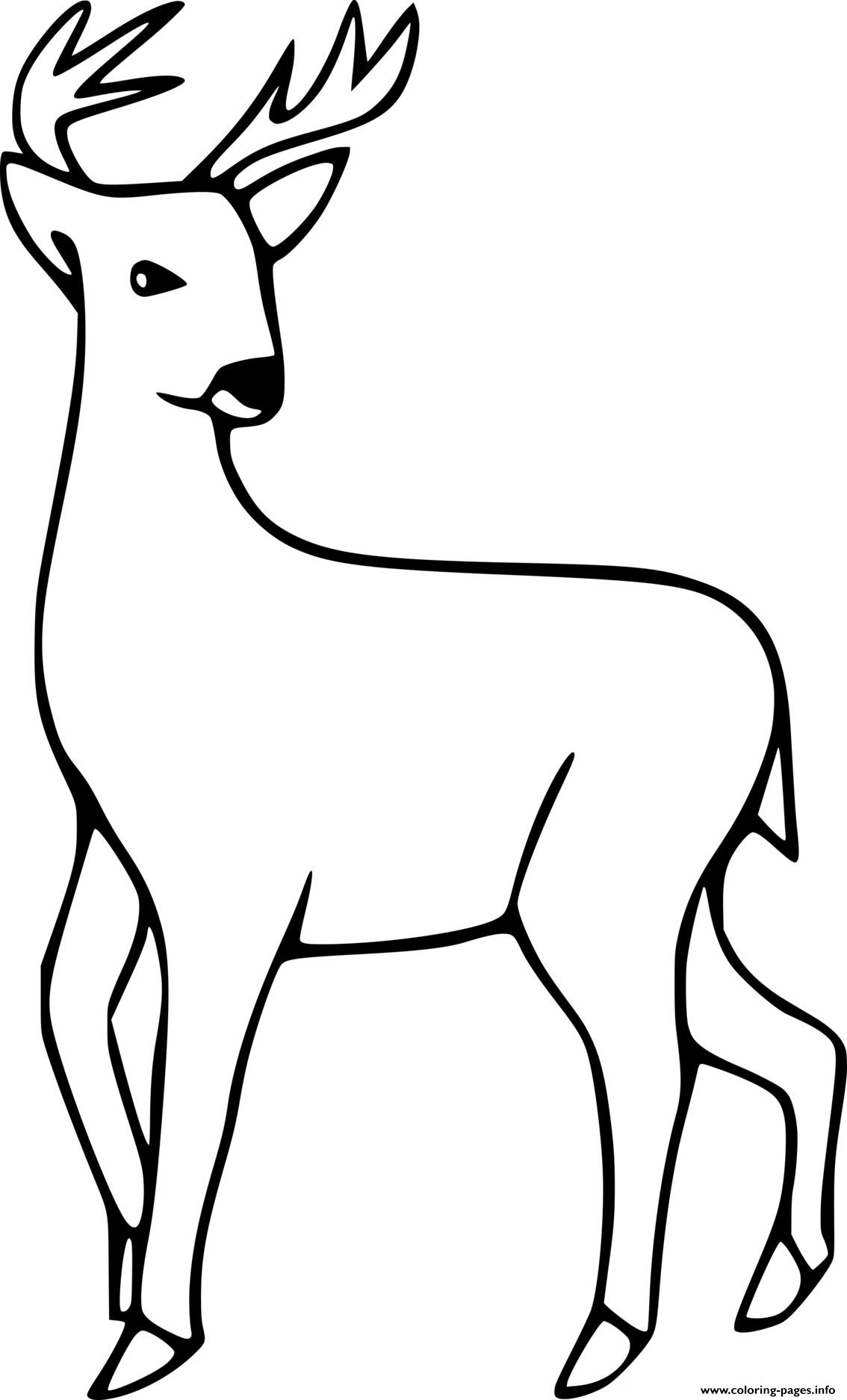 Easy White Tailed Deer Coloring Page Printable