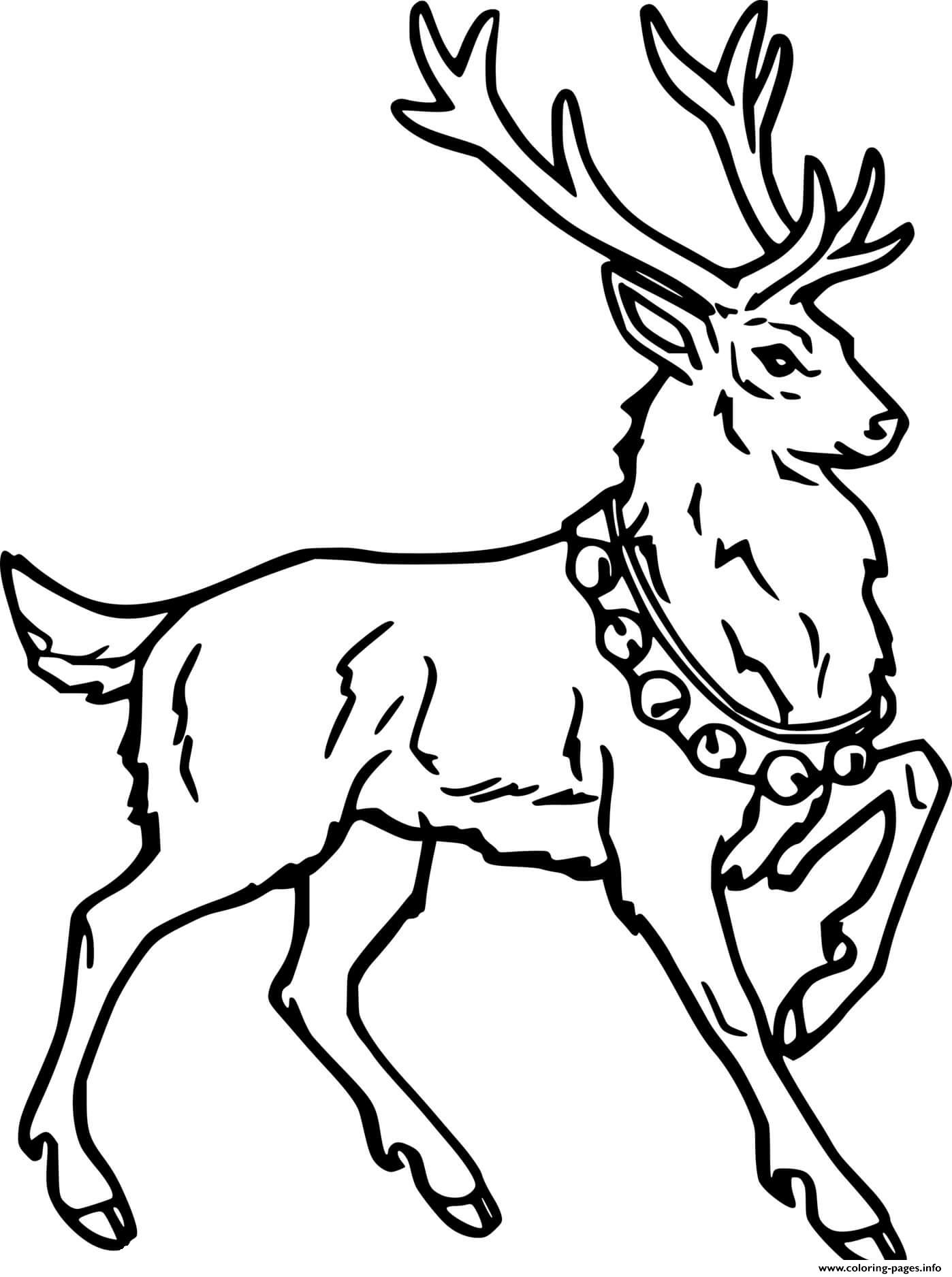 Coloring Pages Of Realistic Deer - Roe Deer Coloring Pages Free