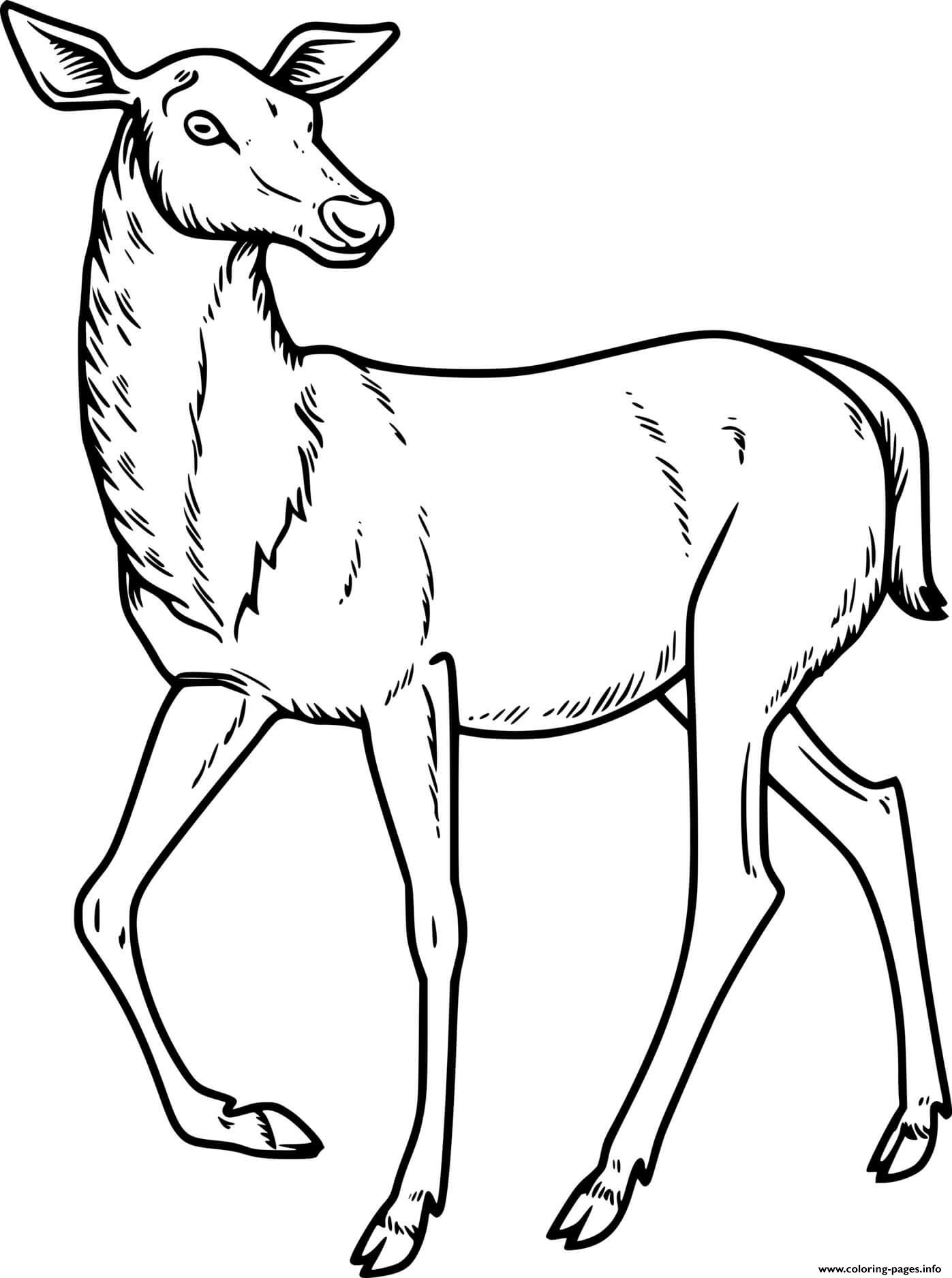 Elegant Sika Deer Coloring page Printable