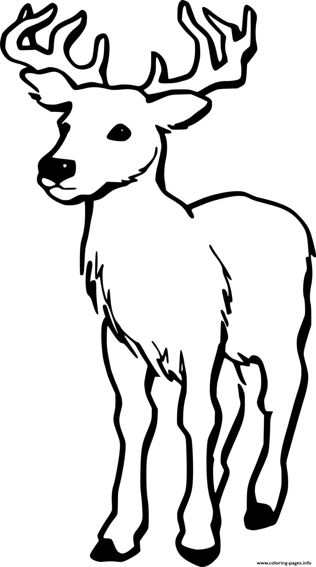 Simple Virginia Deer Coloring Pages Printable