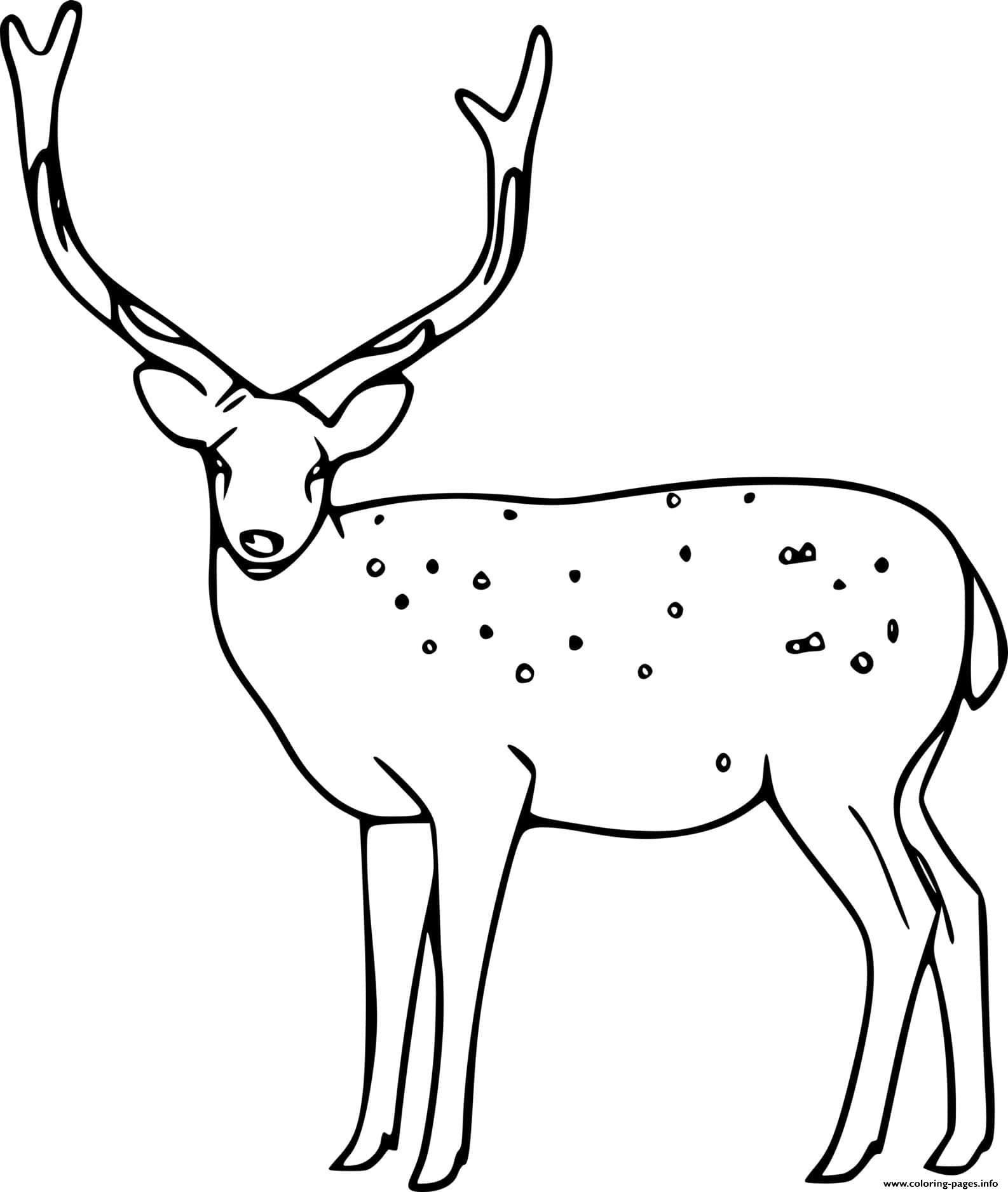 Easy Sika Deer Coloring Pages Printable