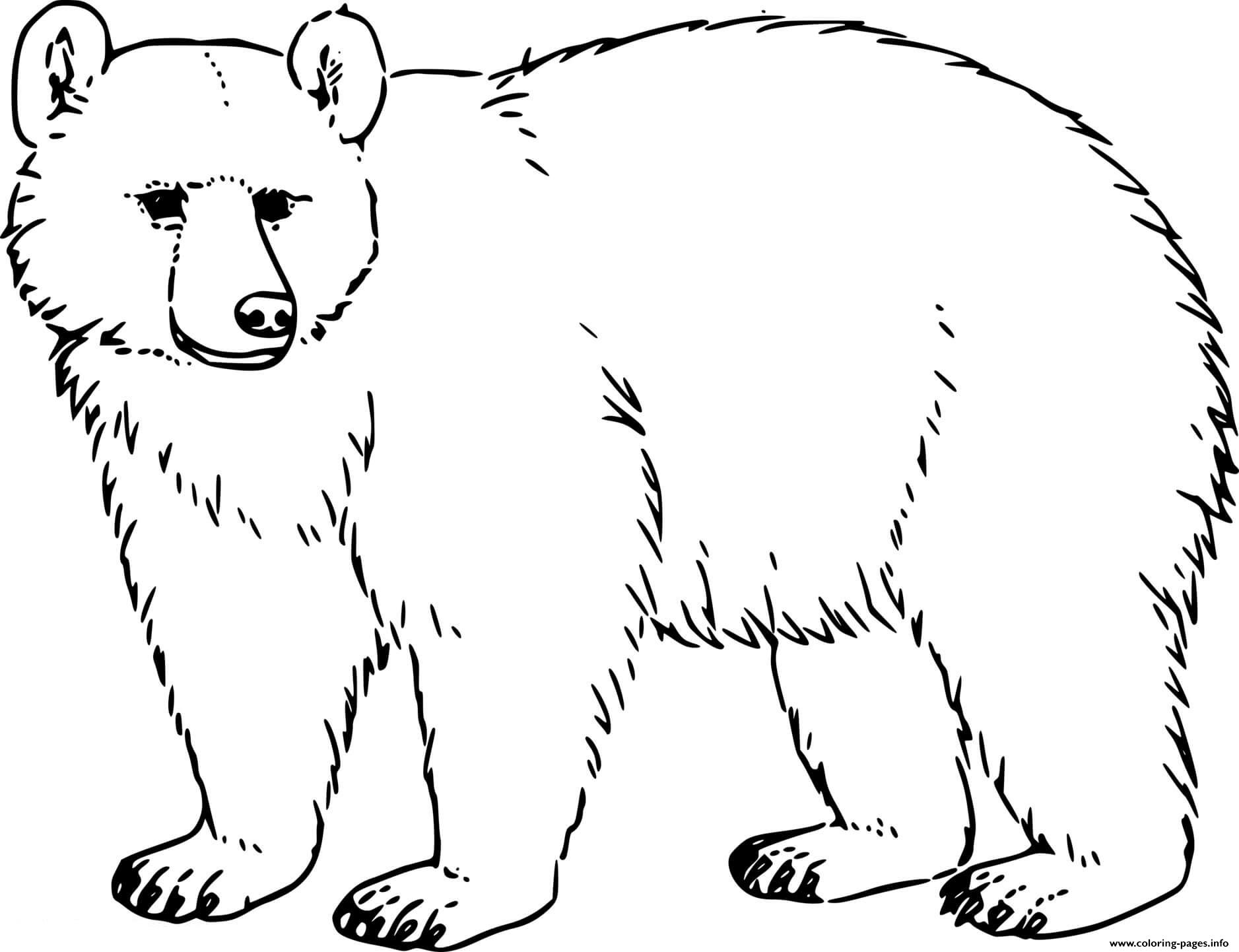 Realistic Black Bear Coloring Pages Printable