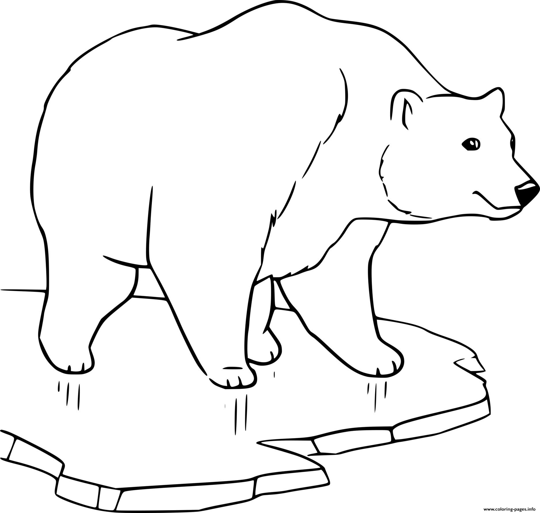 printable pictures of polar bears coloring pages