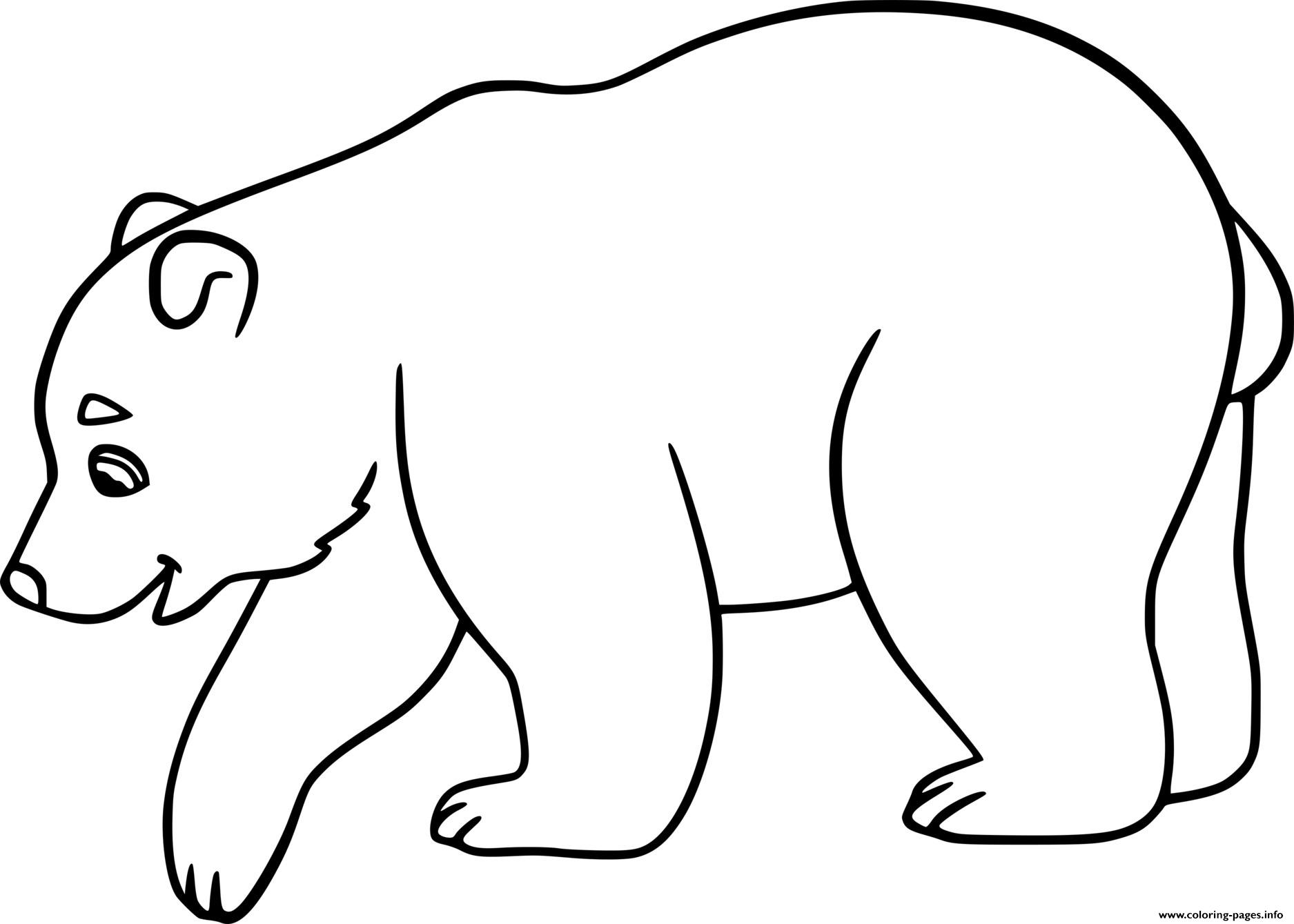 printable pictures of polar bears coloring pages