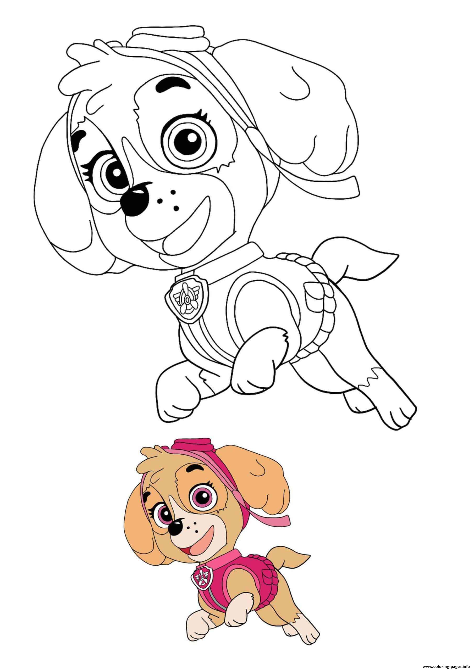 Skye Helicopter Aircraft Paw Patrol coloring