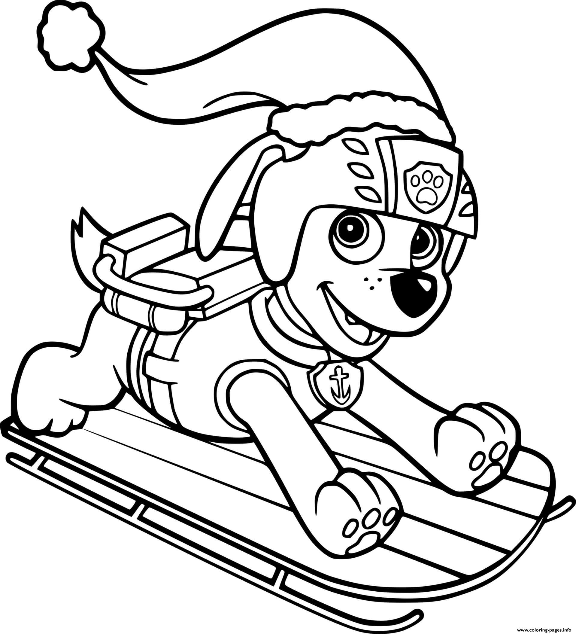 Zuma In The Christmas Hat On The Sled coloring