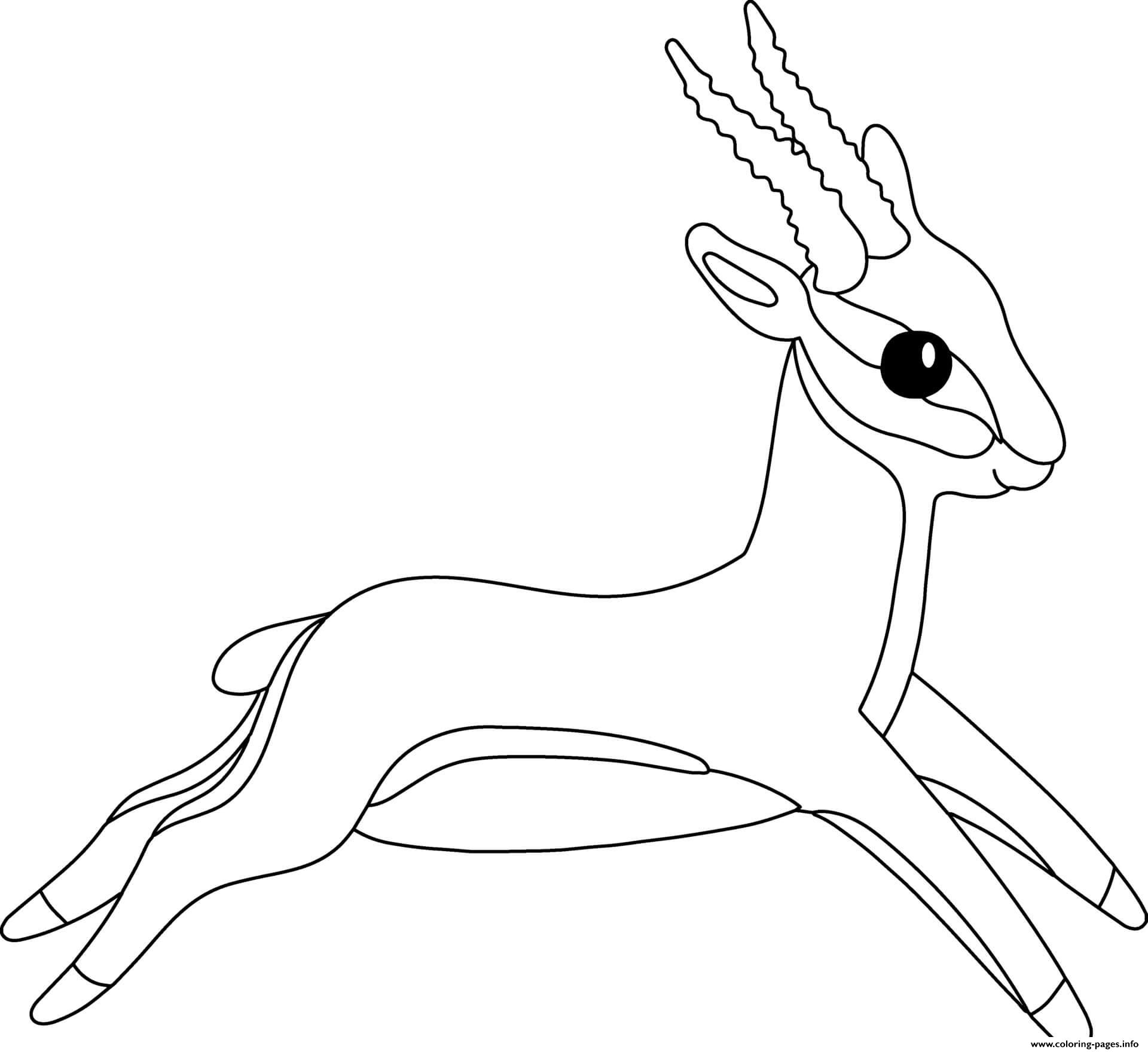 Antelope coloring