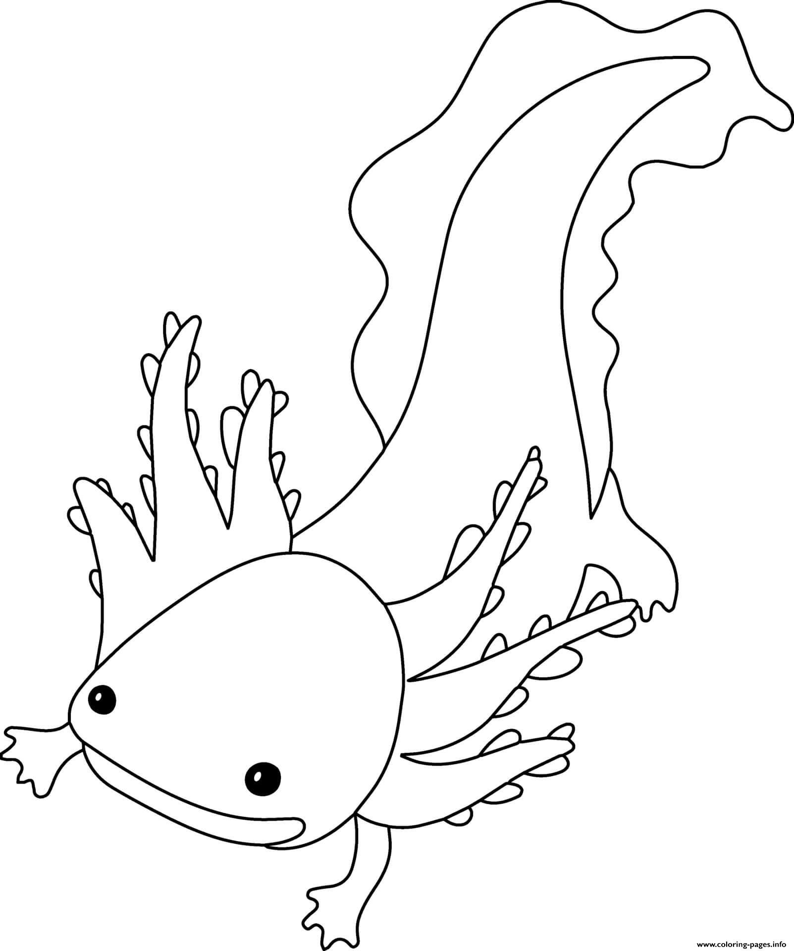 Axolotl Coloring page Printable
