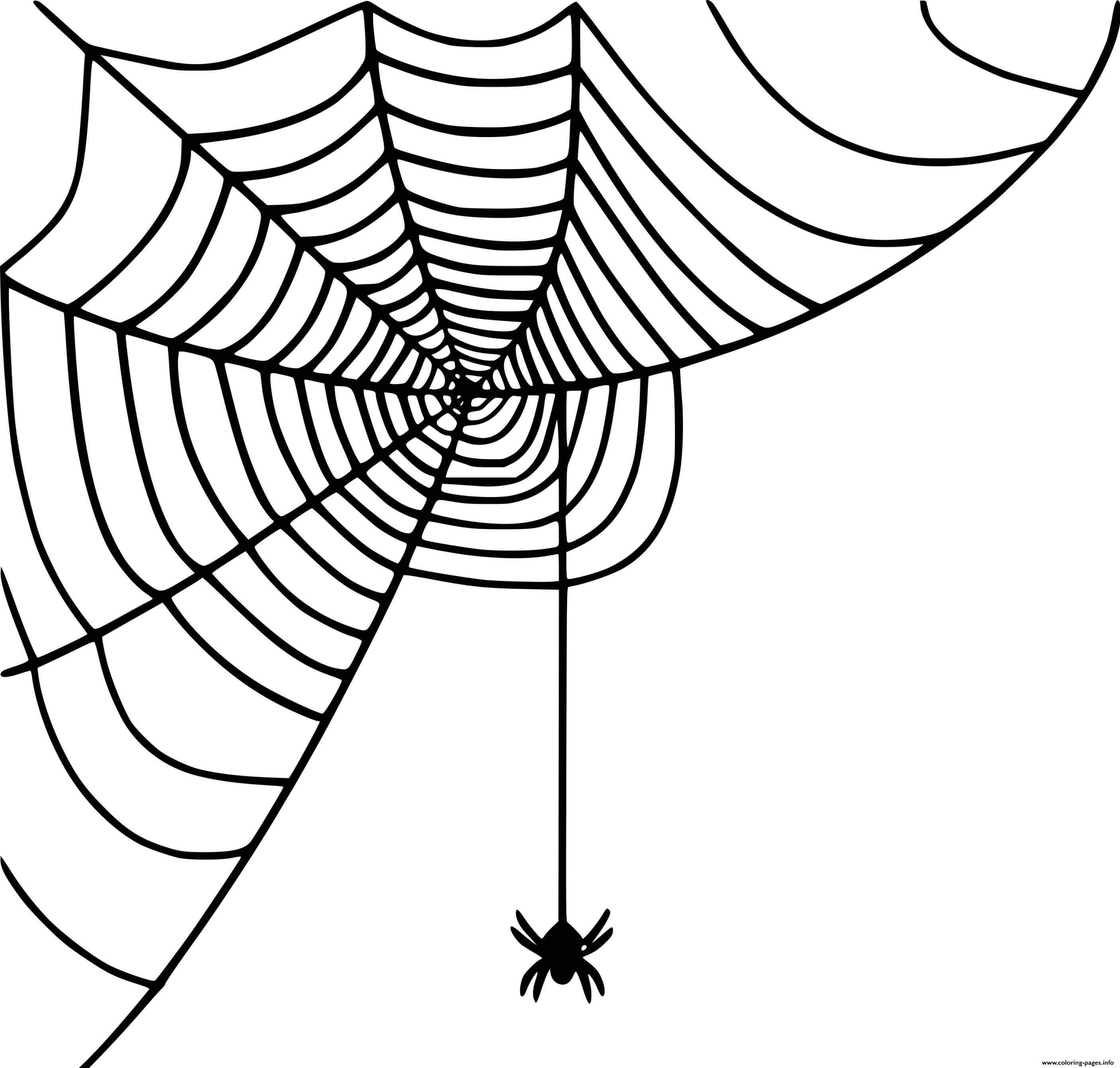 Little Spider Spinning Web coloring