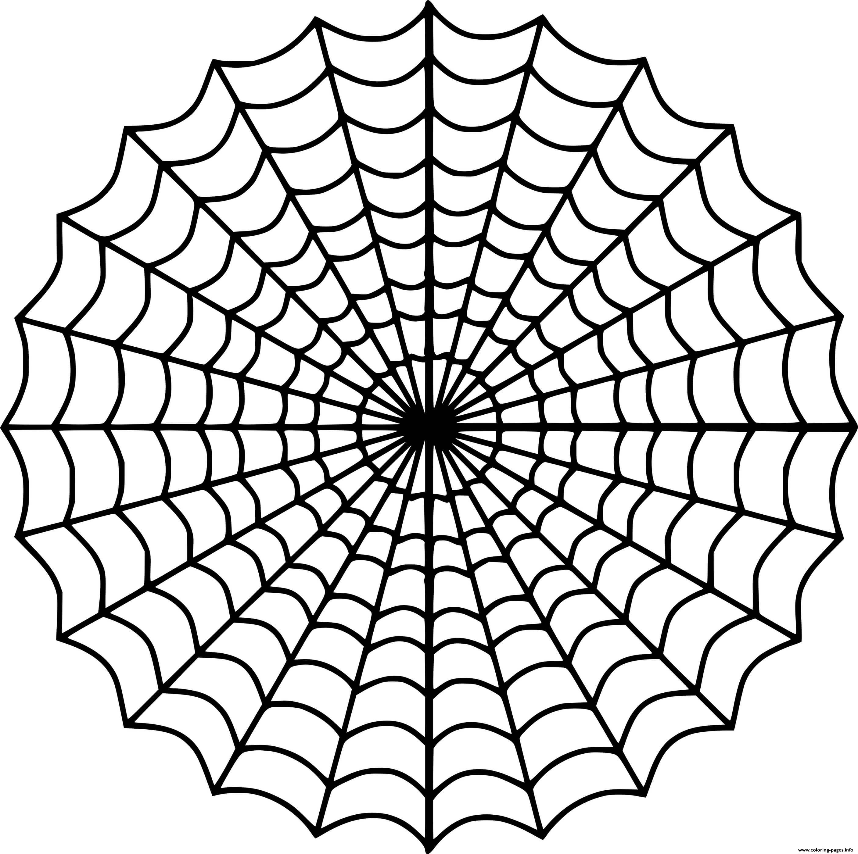 Symmetric Spider Web coloring