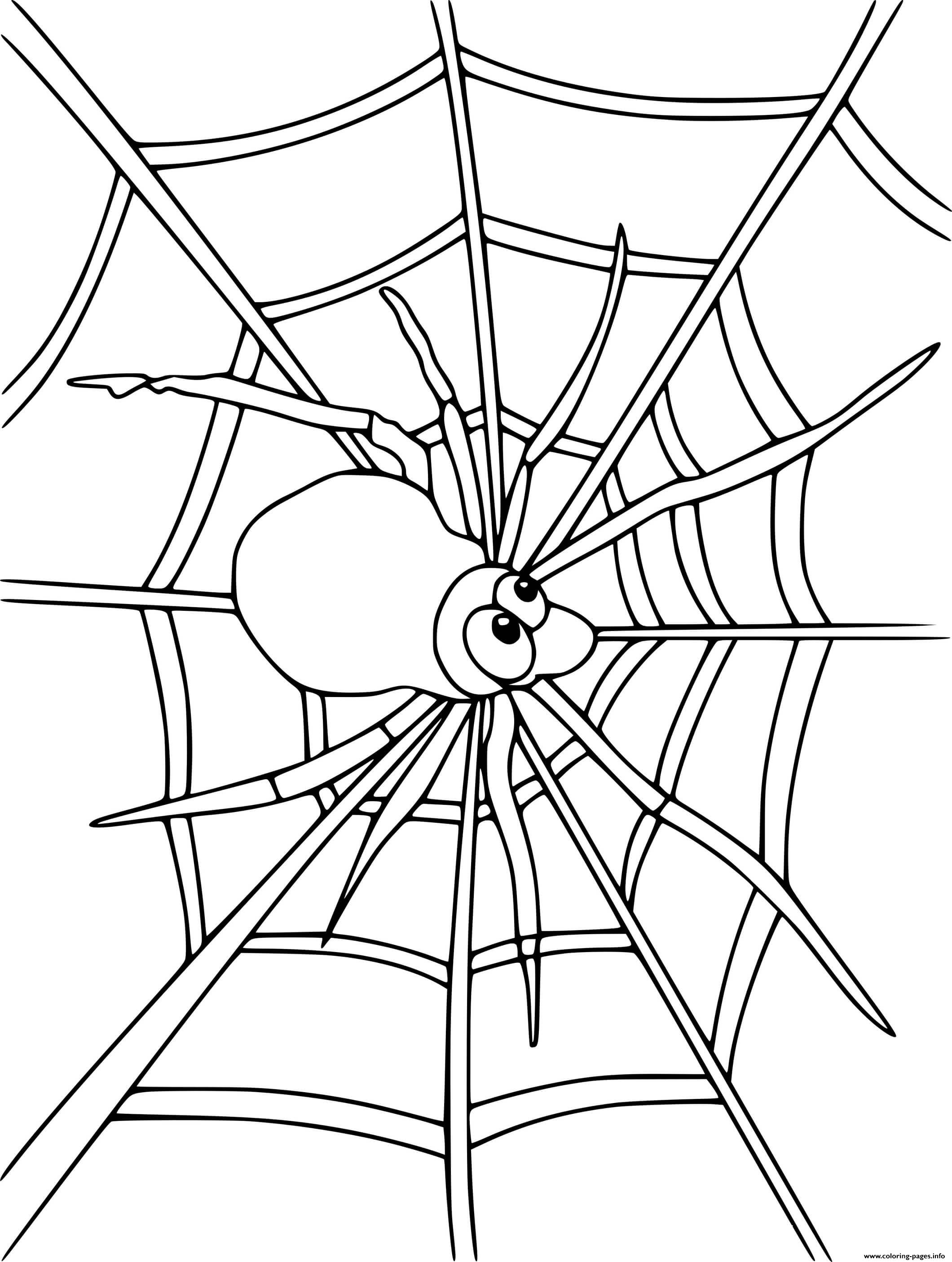 Cartoon Spider On The Web coloring