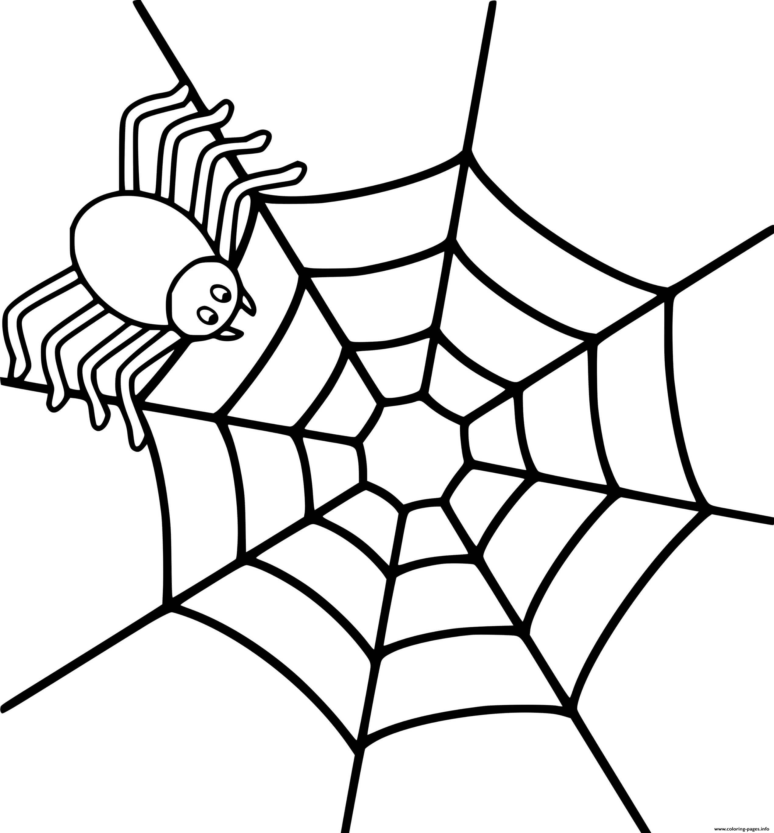 Easy Spider On The Web coloring