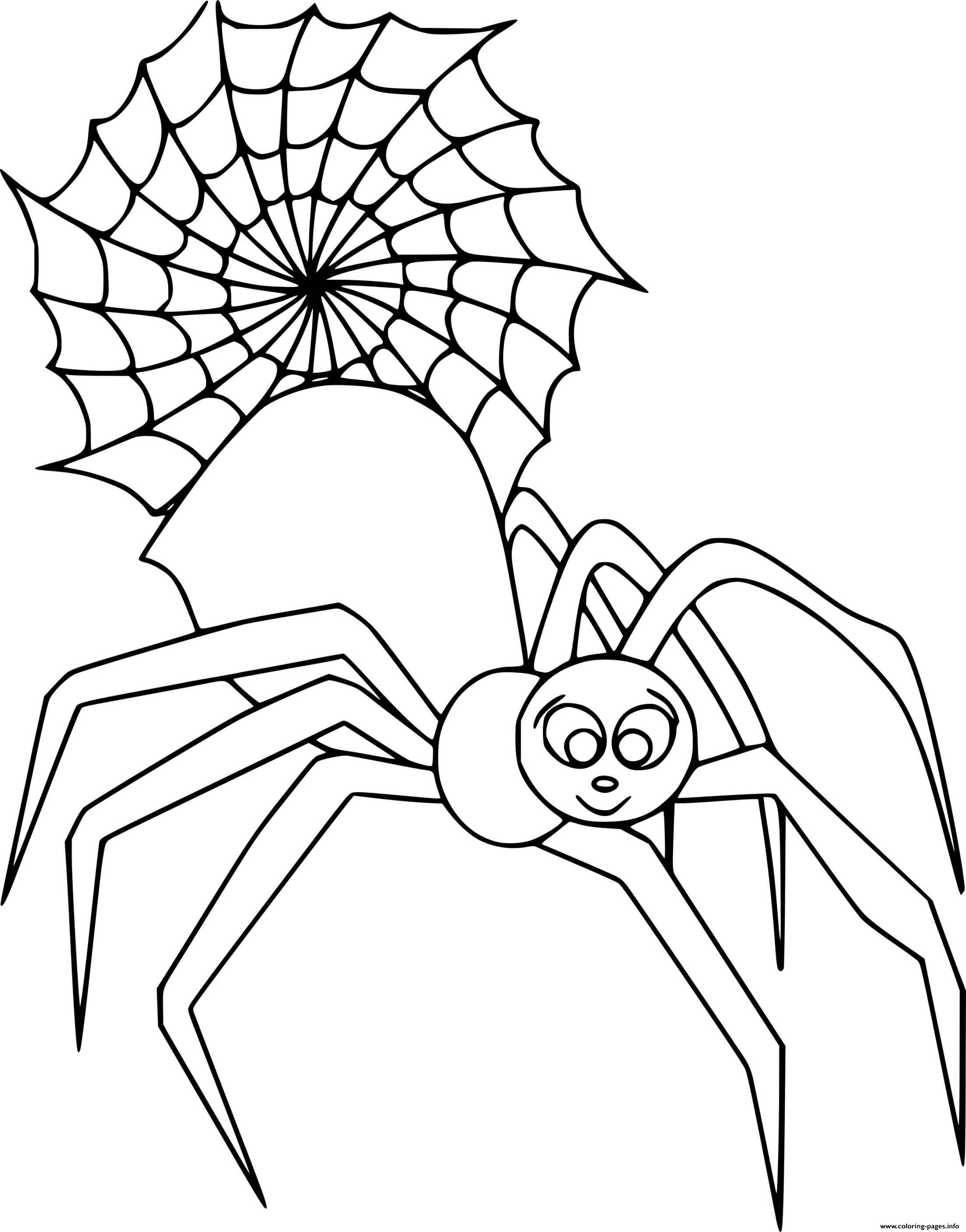 Cute Big Spider And Web coloring