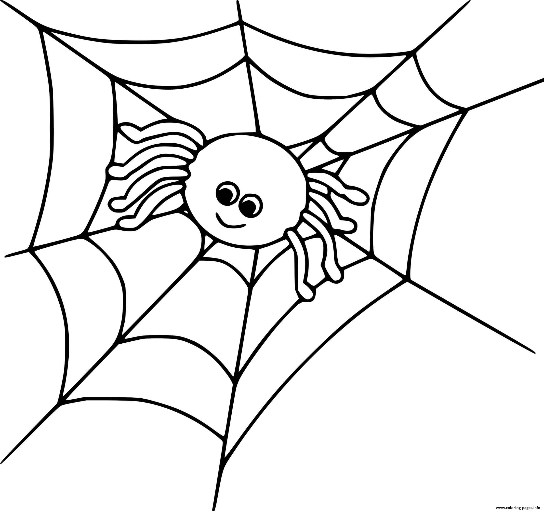 Cute Spider On The Web coloring