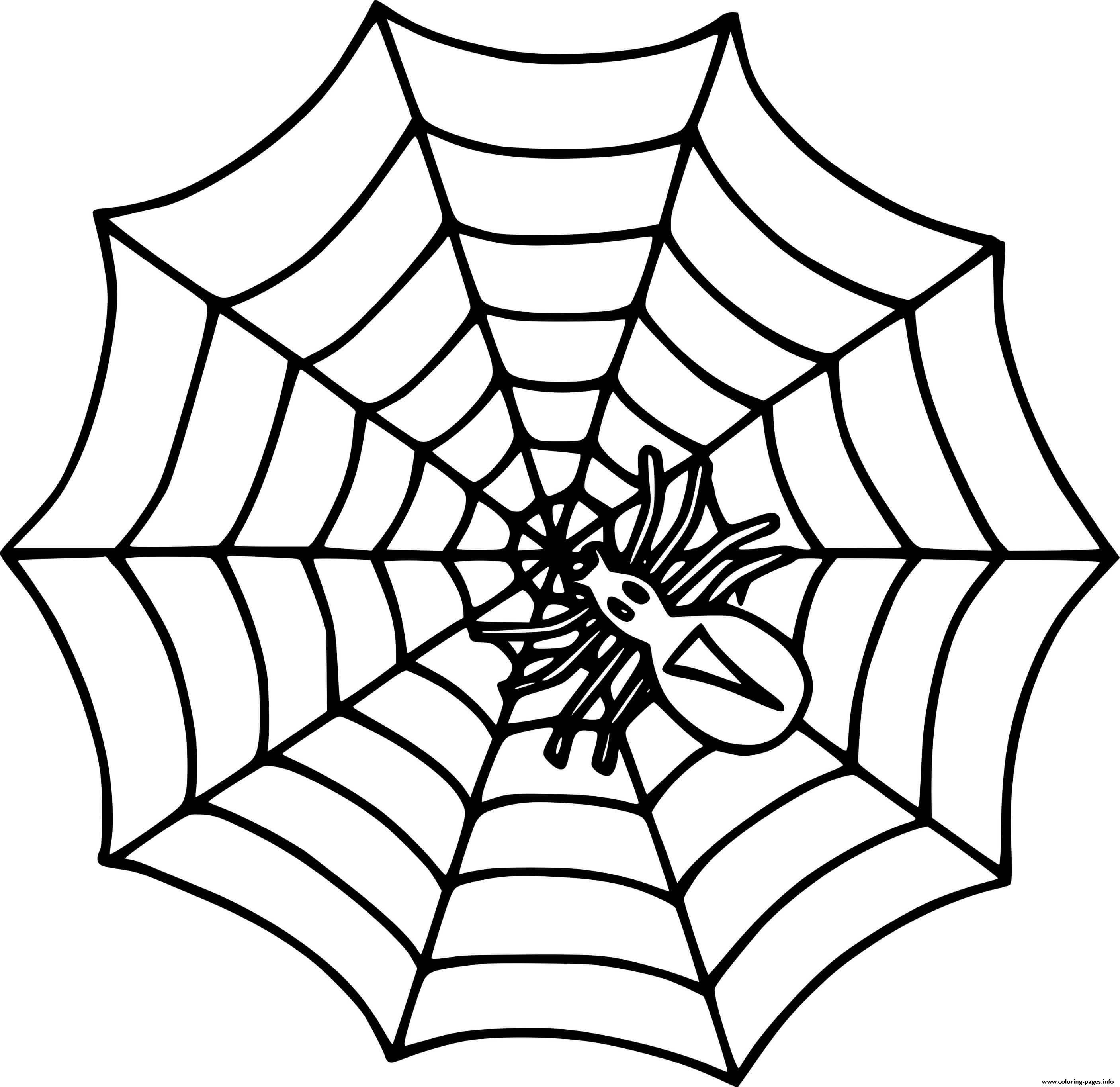Simple Spider On The Web coloring