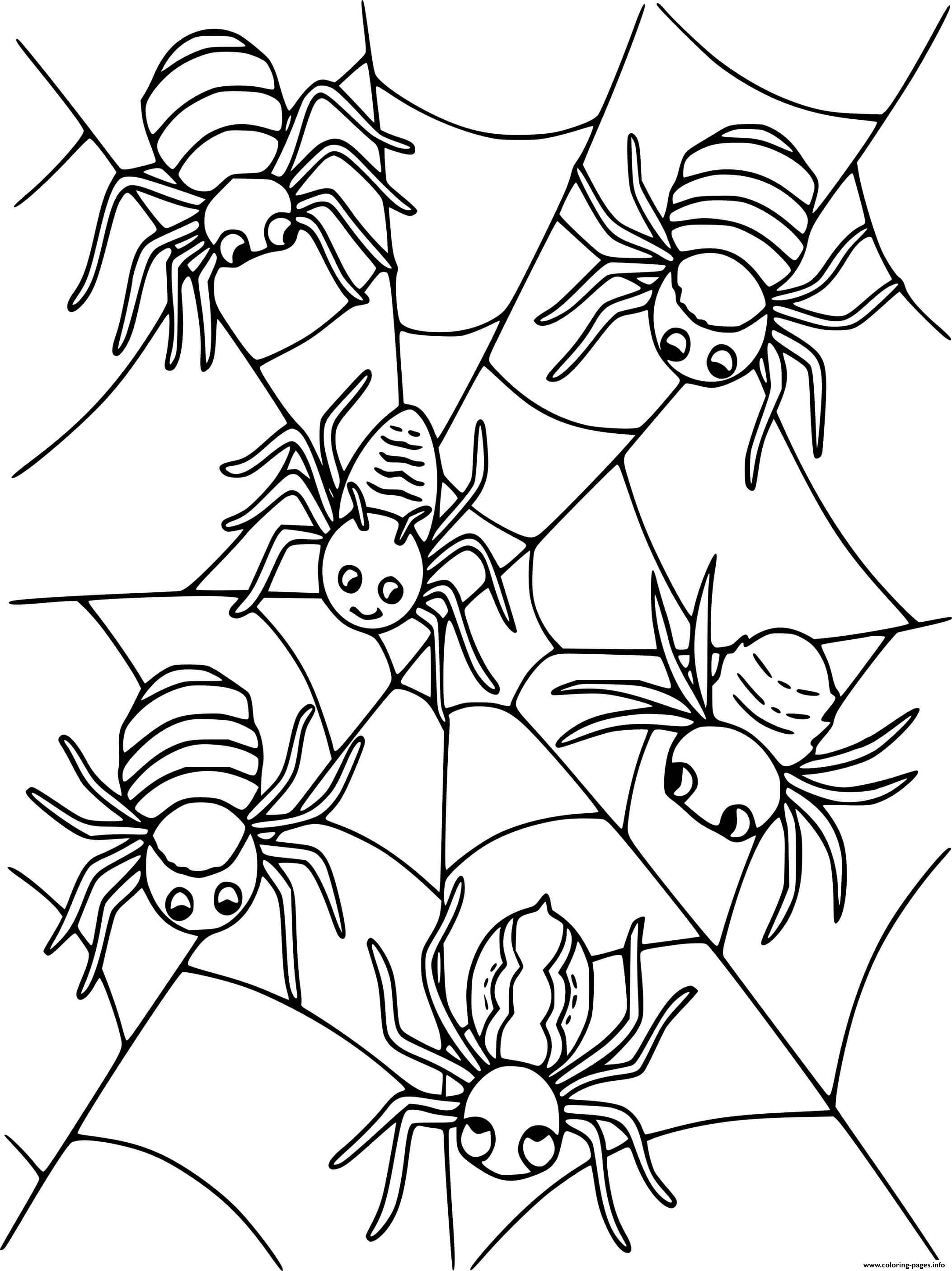 Six Spiders On The Web coloring