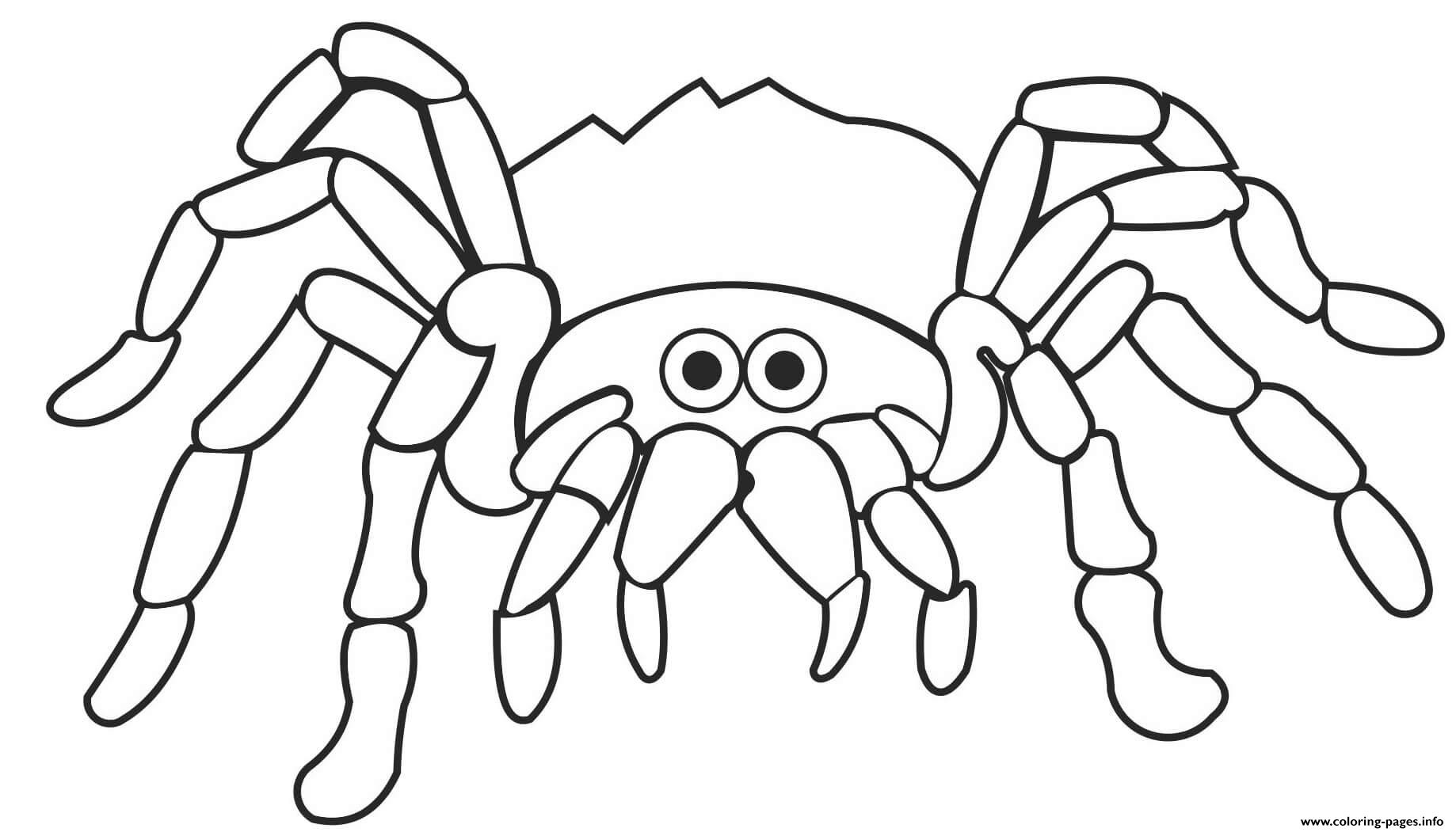 Easy Spider coloring