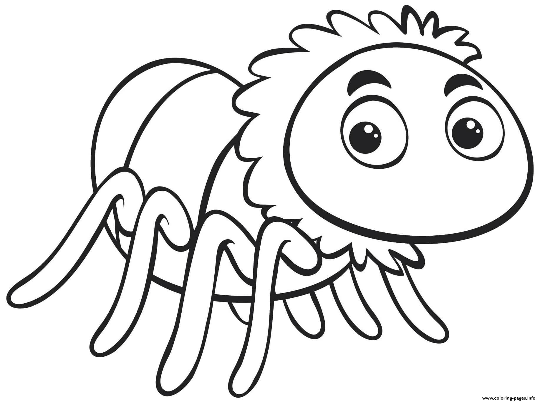 Cute Spider coloring