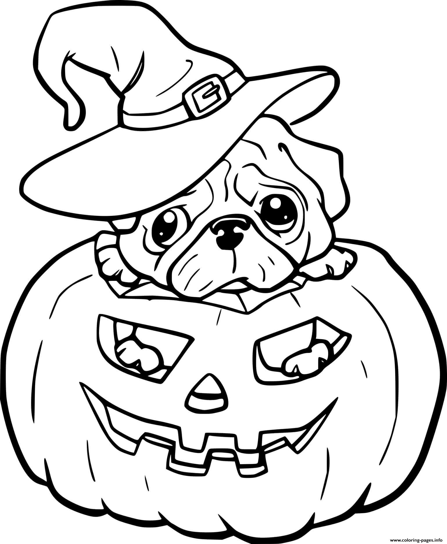 Puppy Witch In The Jack O Lantern coloring