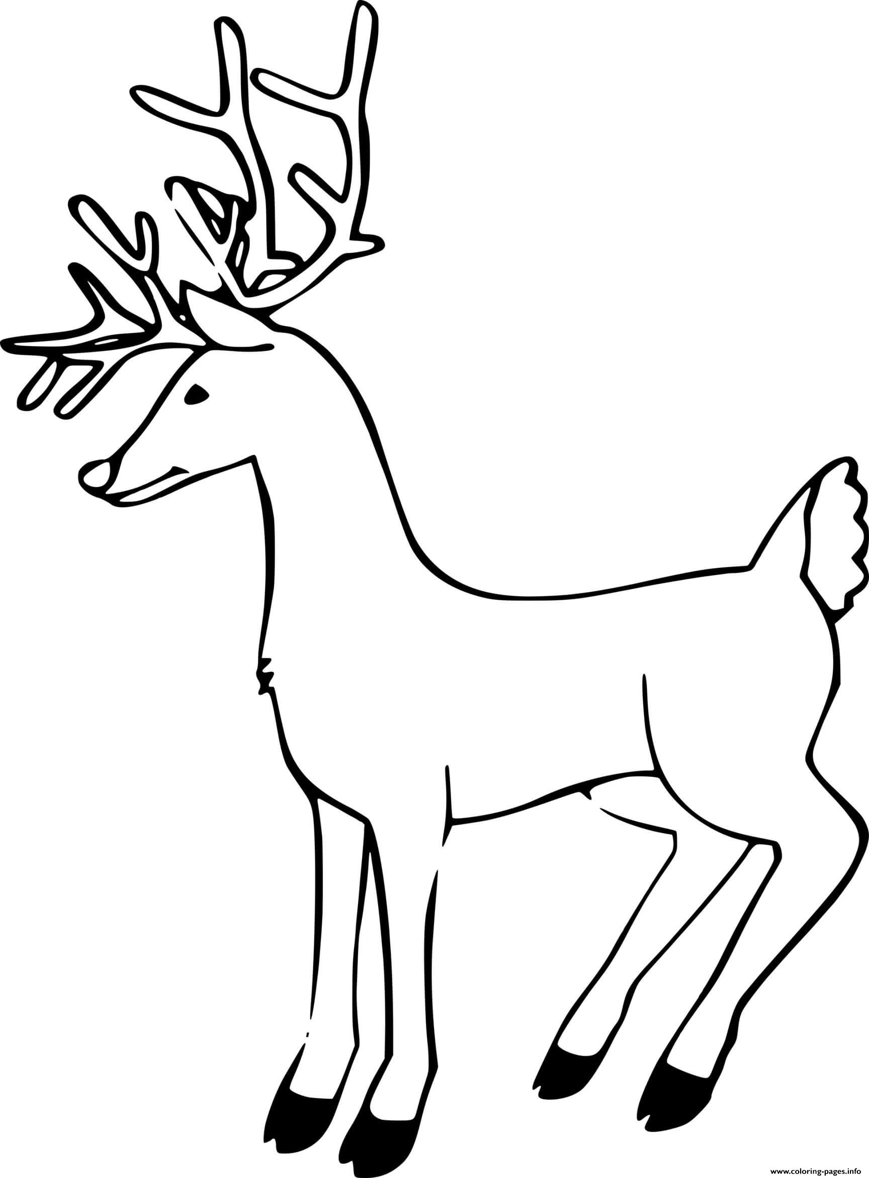 Thin Reindeer coloring