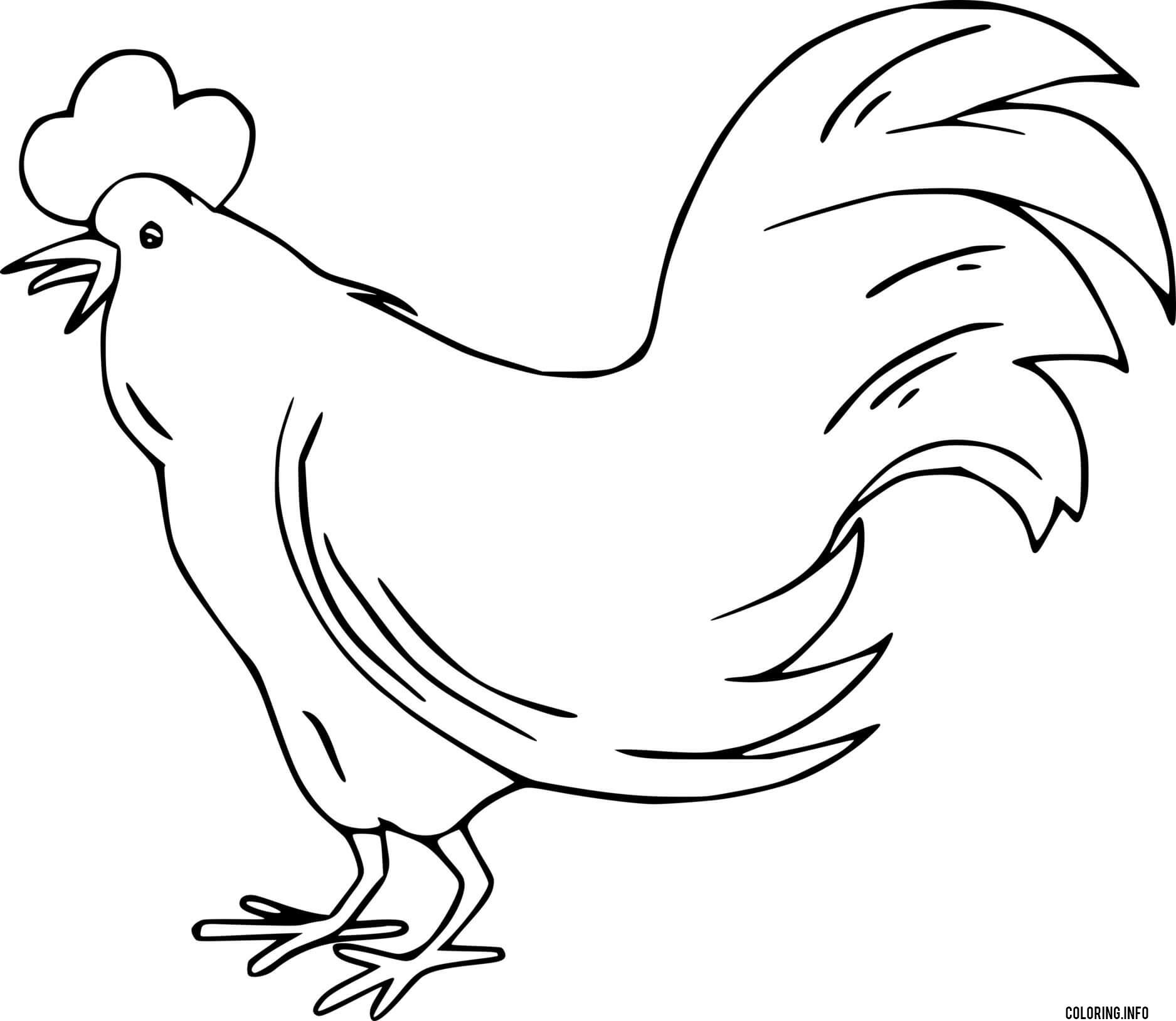Very Easy Rooster Coloring page Printable