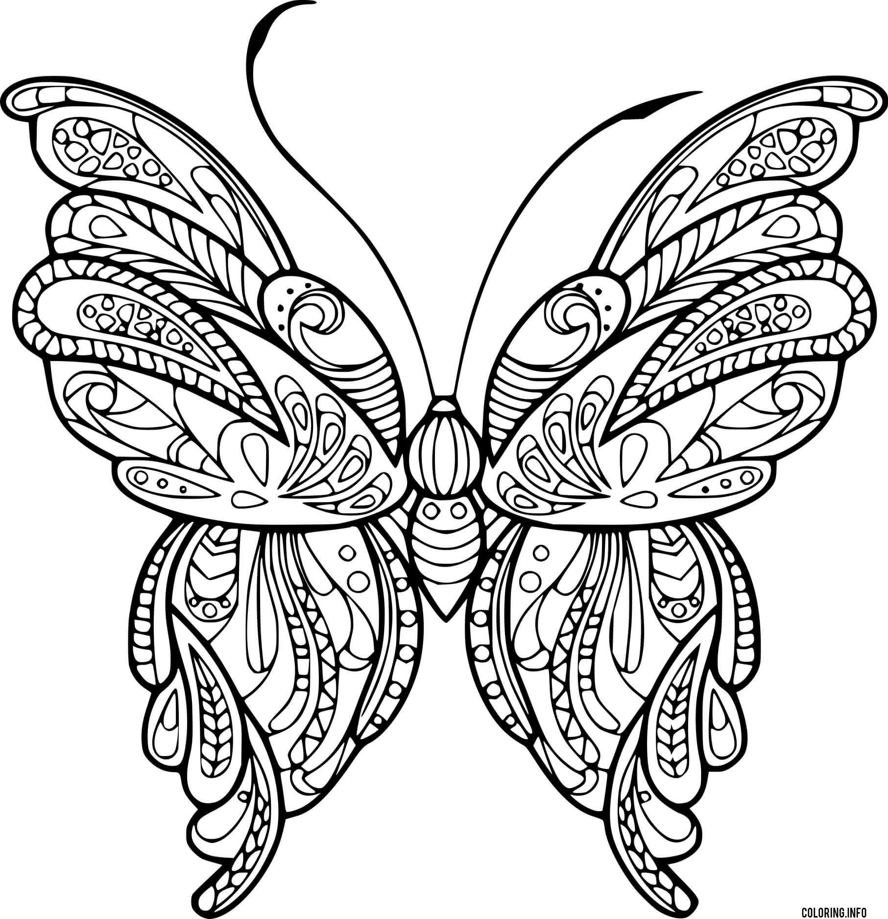 Complex Zentangle Butterfly Coloring page Printable