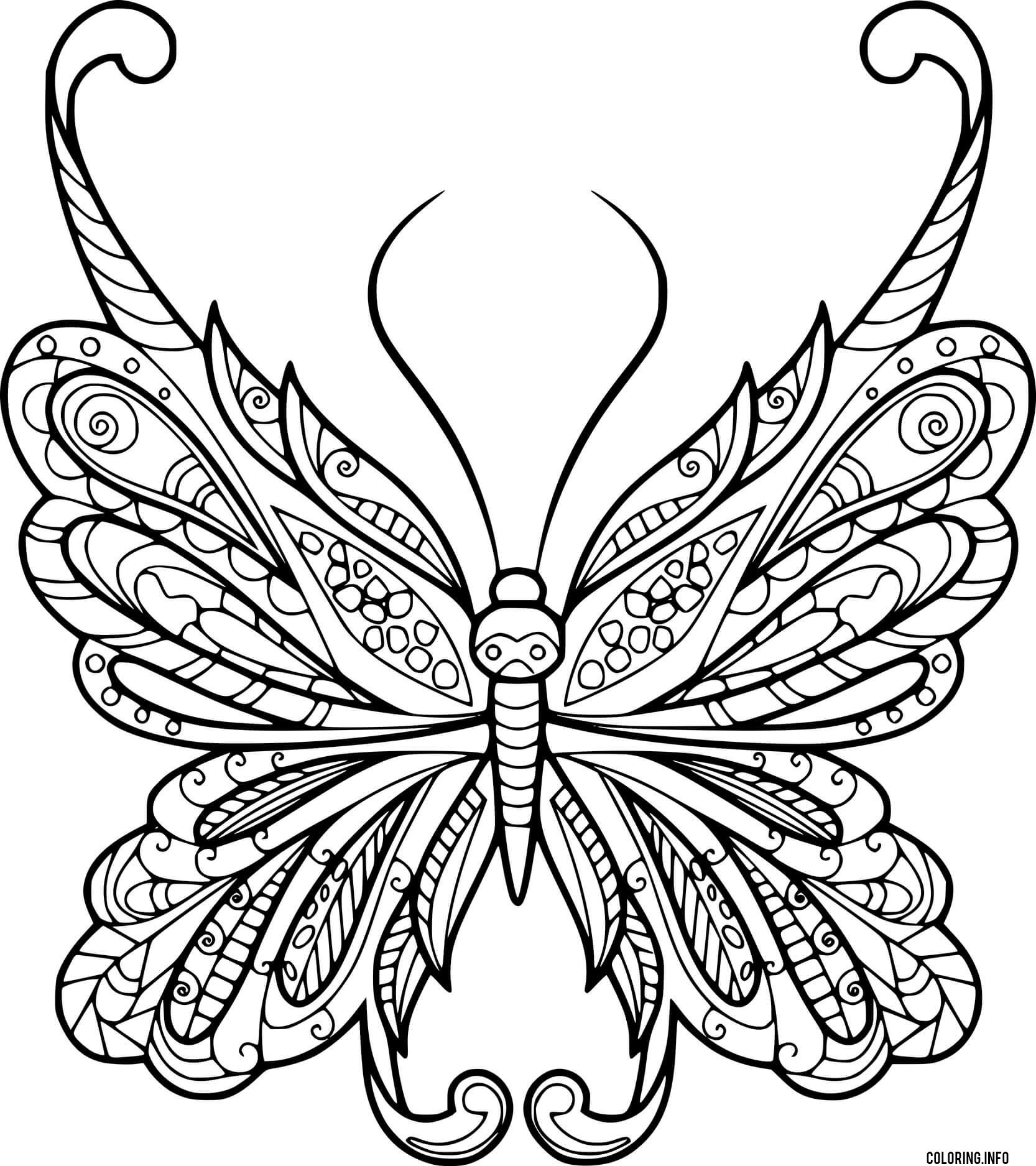 Beautiful Butterfly Zentangle Coloring page Printable